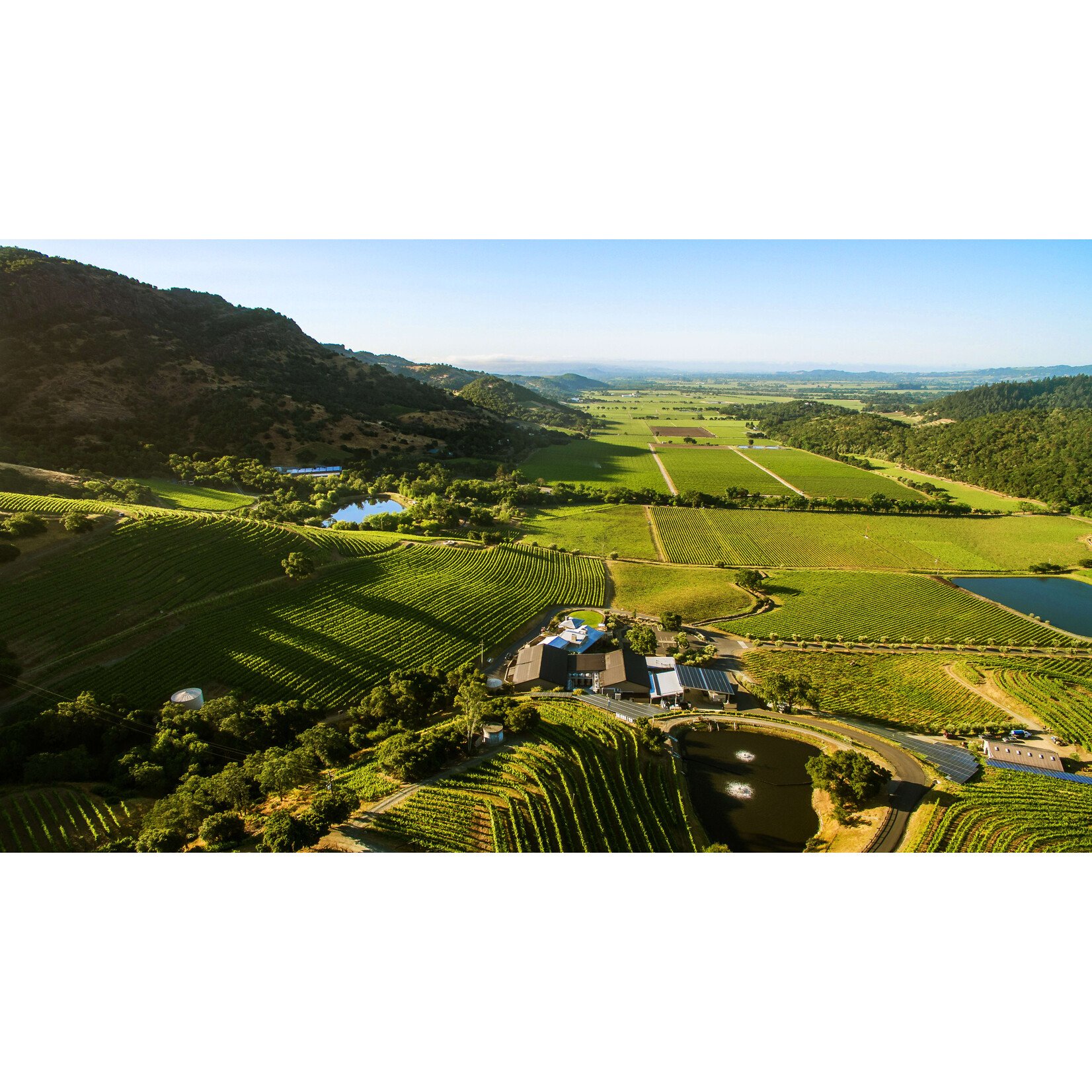 Shafer Vineyards Shafer Hillside Select Cabernet Sauvignon 2021