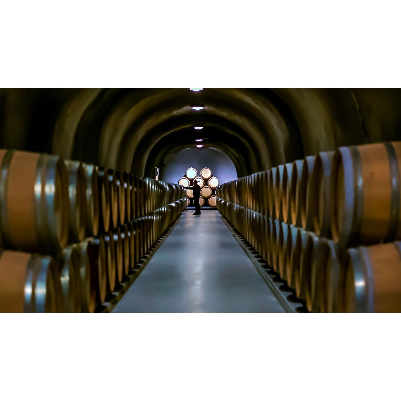 Shafer Vineyards Shafer Hillside Select Cabernet Sauvignon 2021