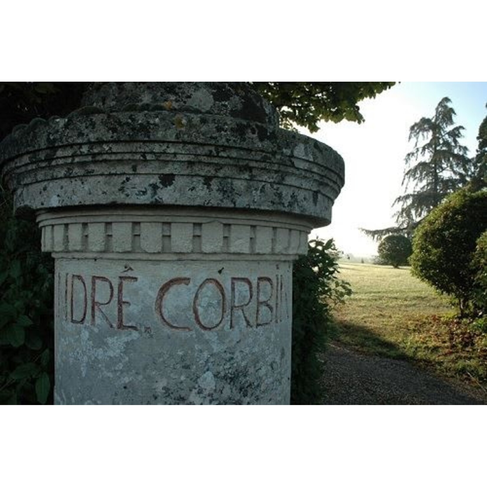 Famille Saby Chateau Saint Andre Corbin St Georges St Emilion 2022