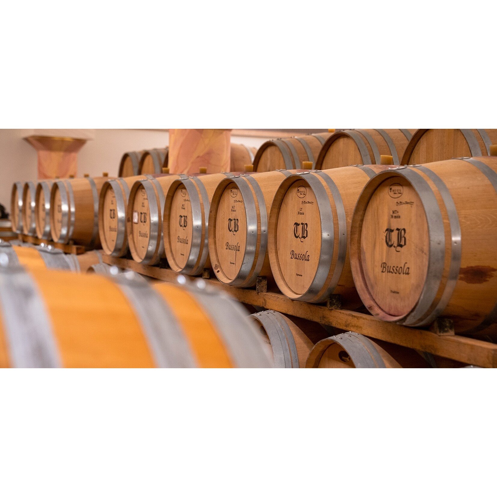 Tommaso Bussola Bussola Amarone della Valpolicella Classico Vigneto Alto 2012