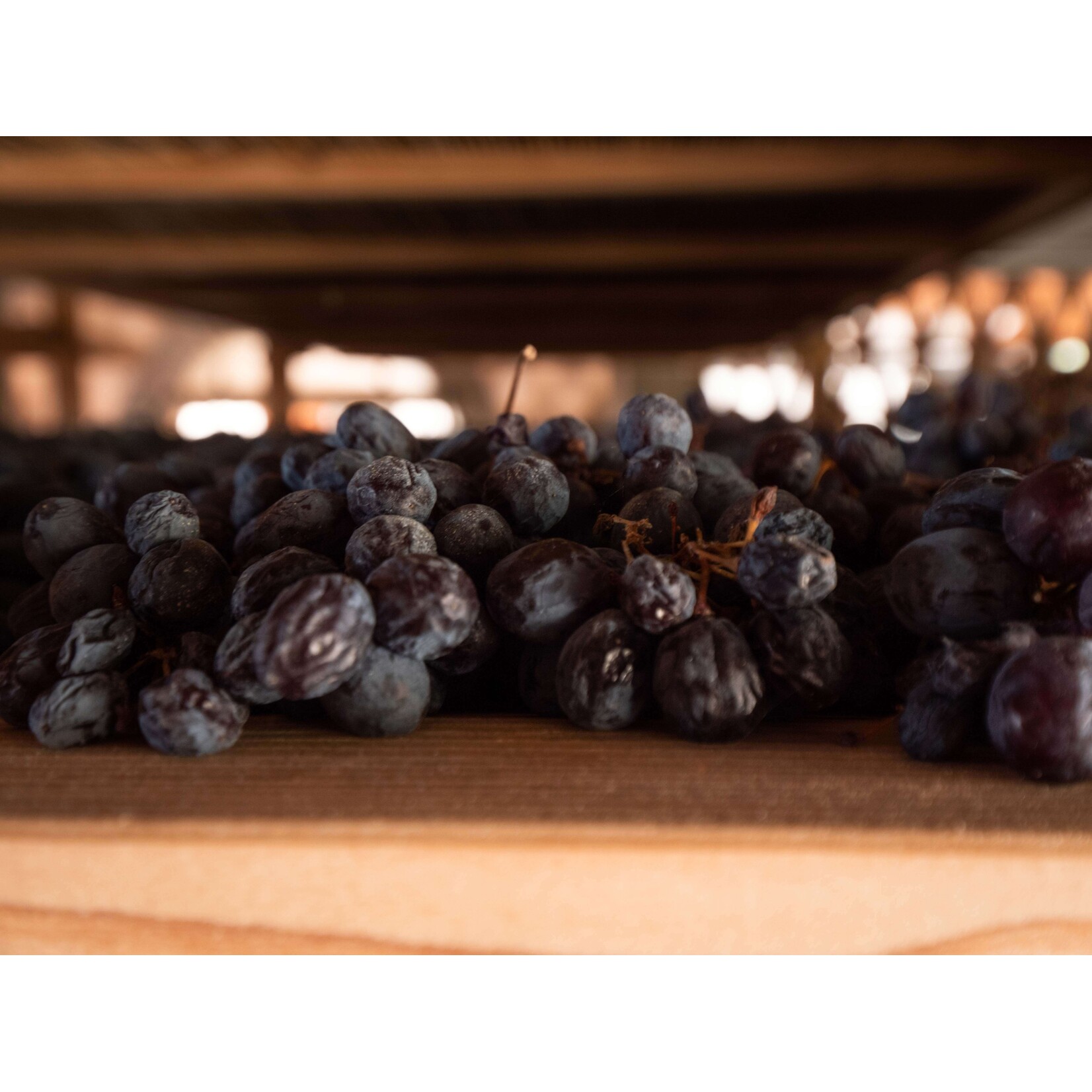 Tommaso Bussola Bussola Amarone della Valpolicella Classico Vigneto Alto 2012