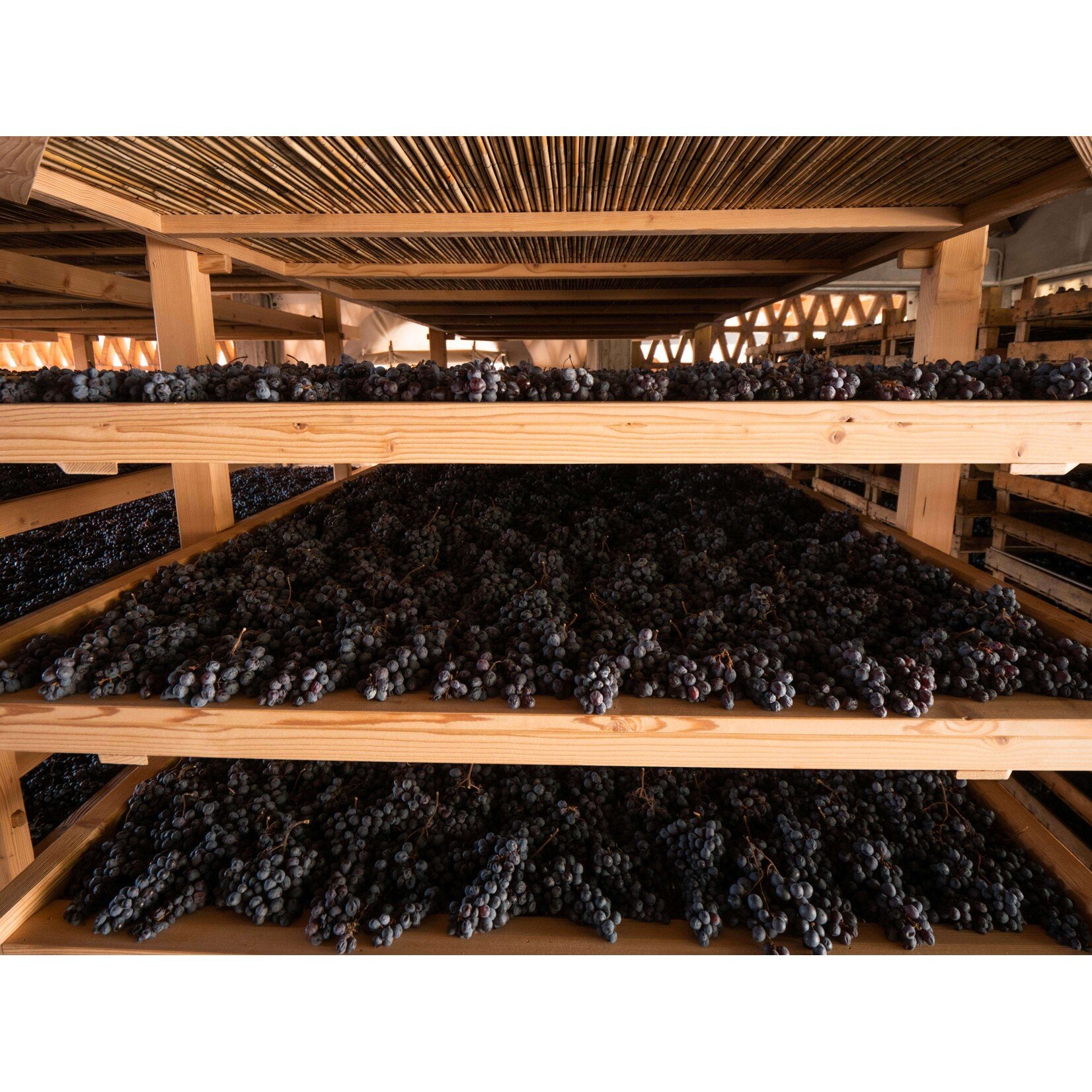 Tommaso Bussola Bussola Amarone della Valpolicella Classico Vigneto Alto 2012