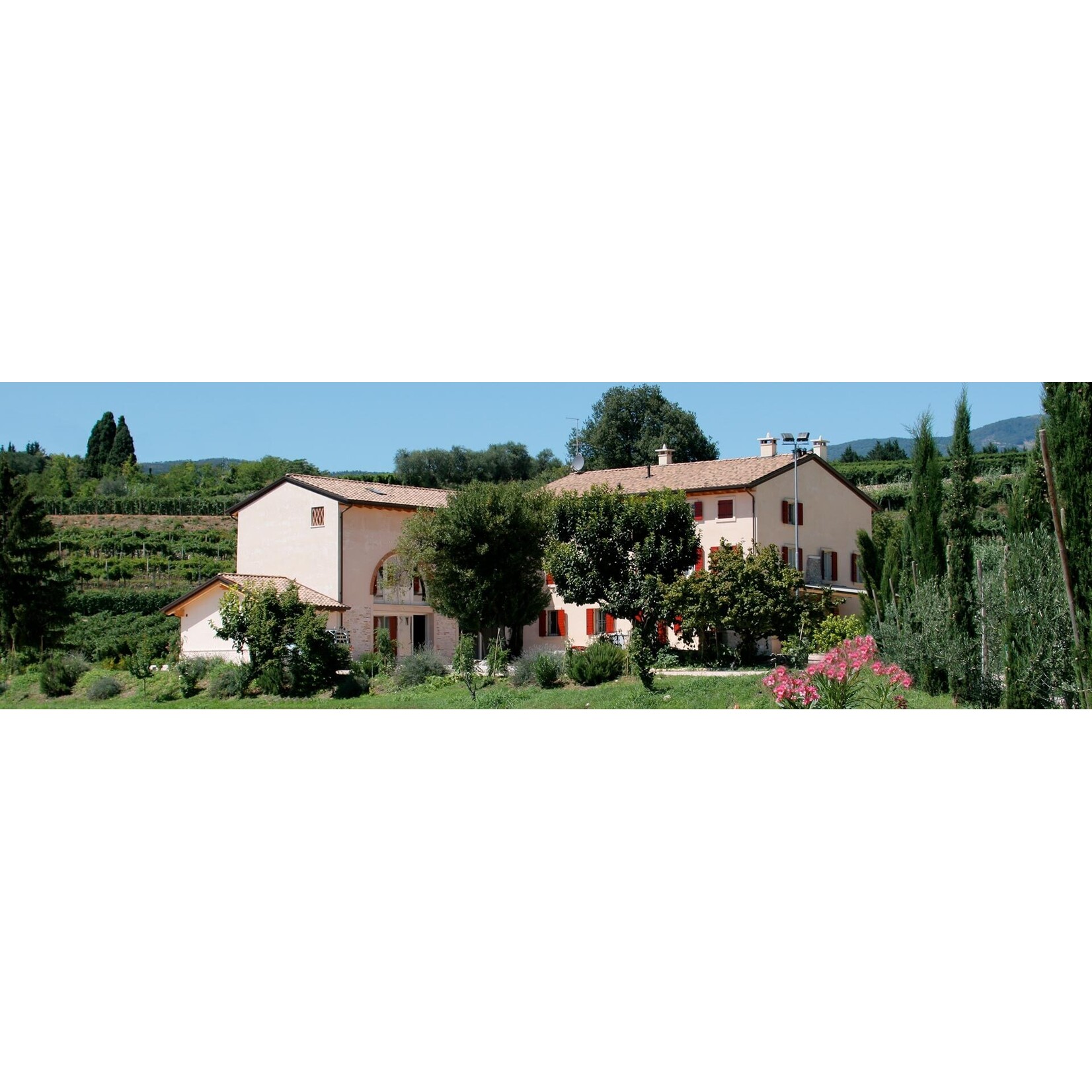 Rubinelli Vajol Rubinelli Vajol Valpolicalla Ripasso Classico Superiore 2019