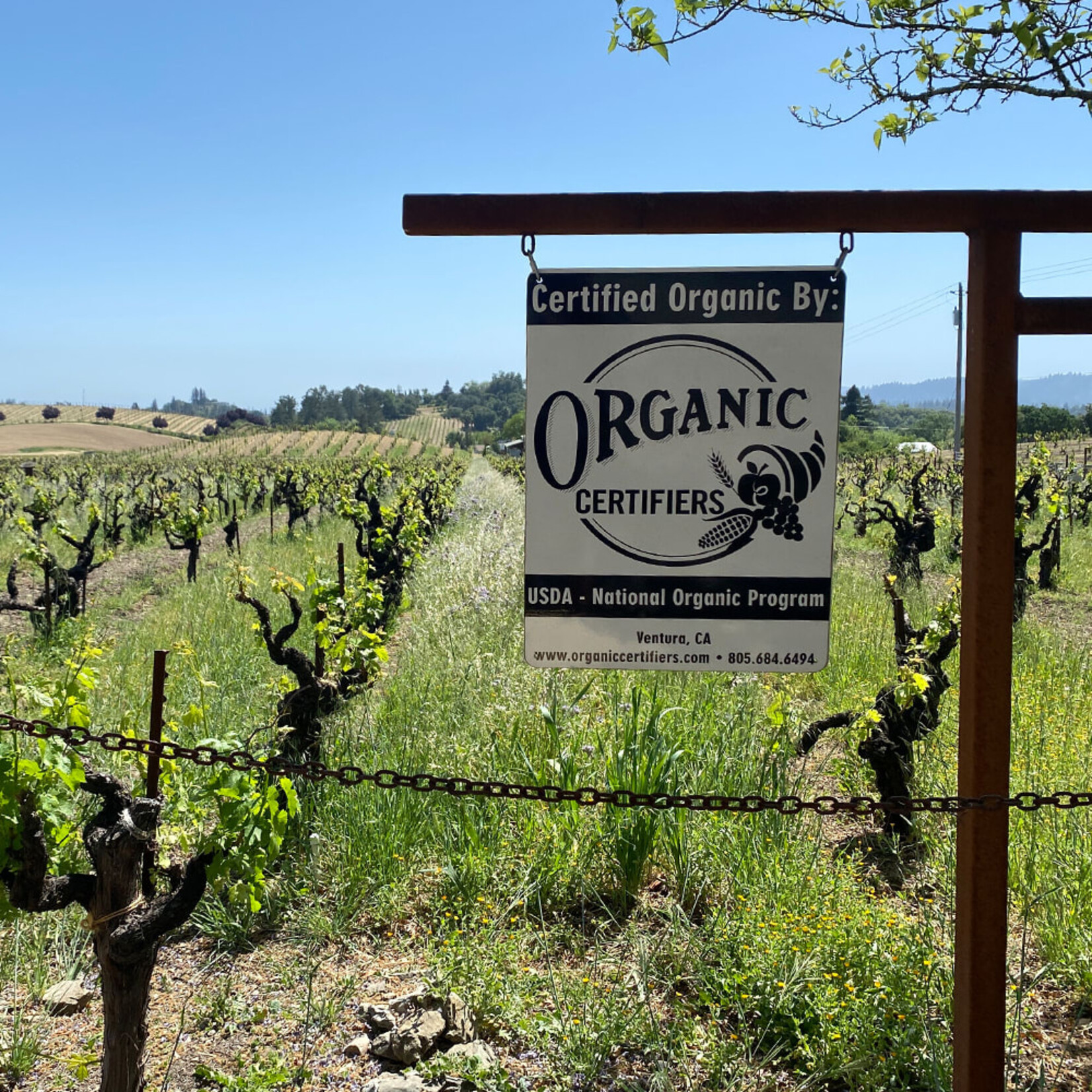 Ridge Vineyards Ridge Monte Bello 2022