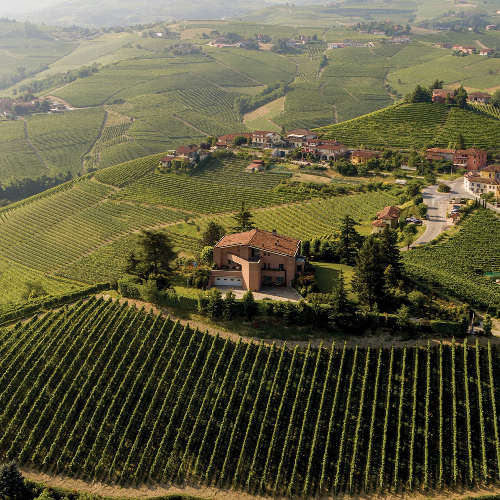 Gaja Barbaresco 2022