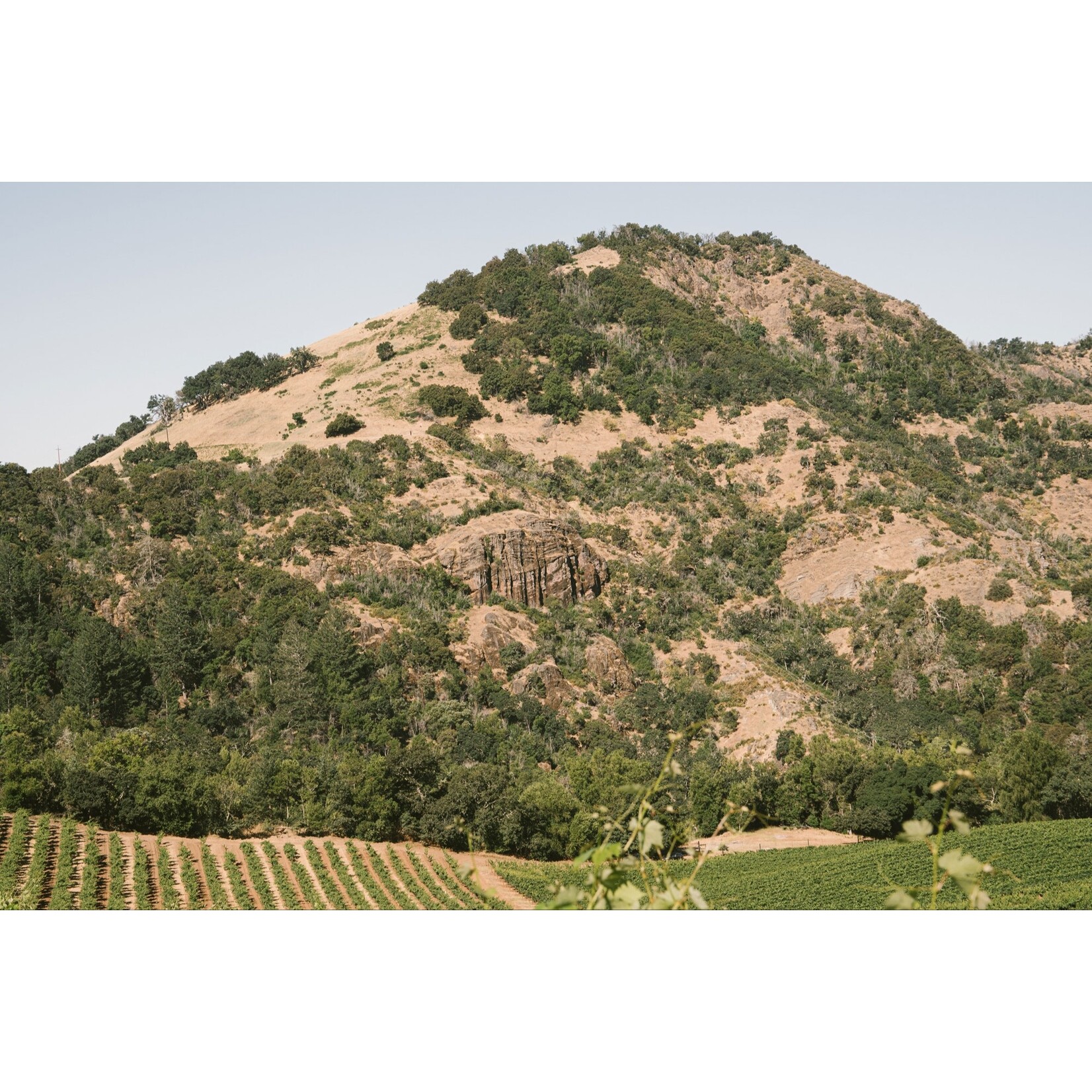 Far Mountain Chardonnay Myrna Sonoma Valley 2021