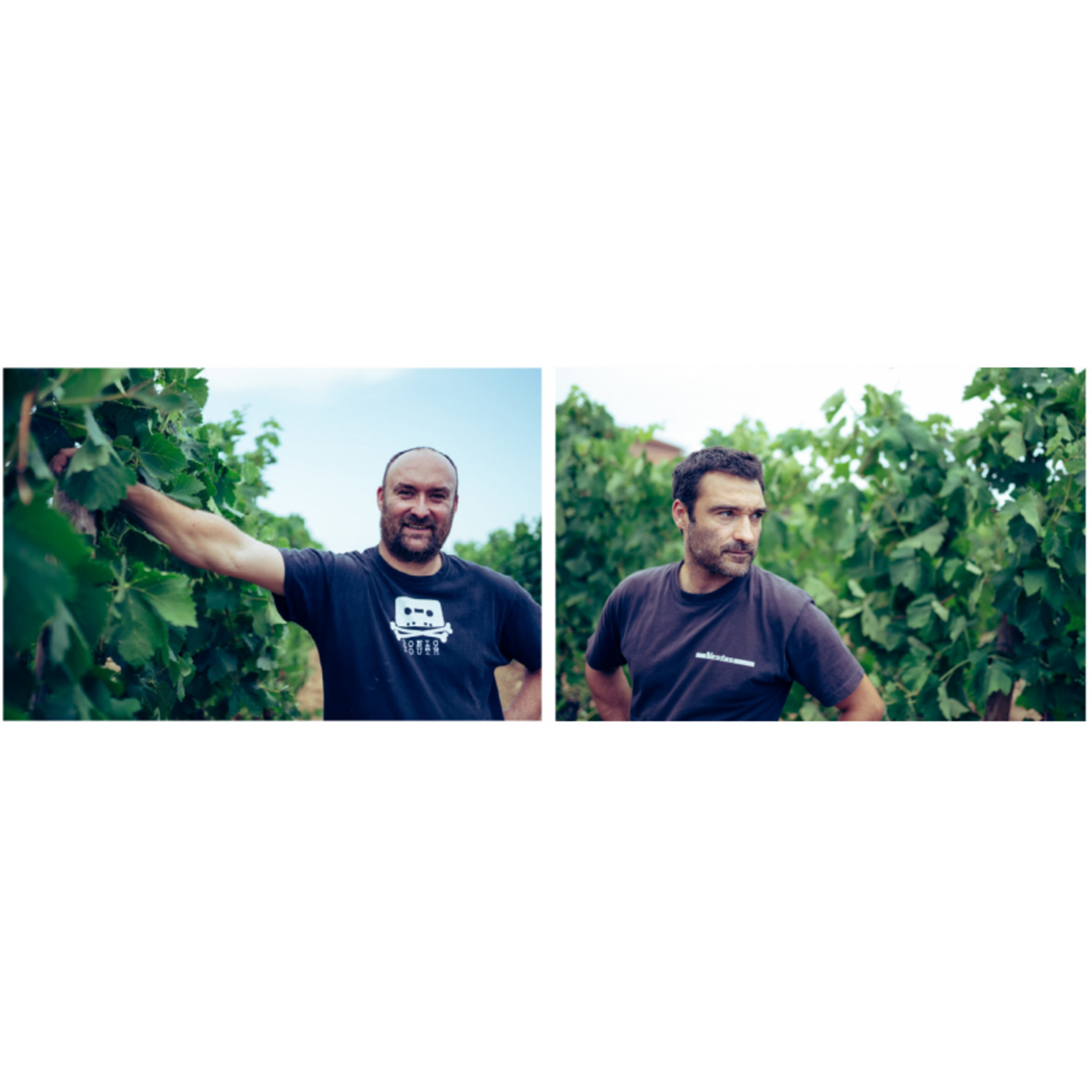 Domaine de Fa Domaine de Fa Fleurie 2022