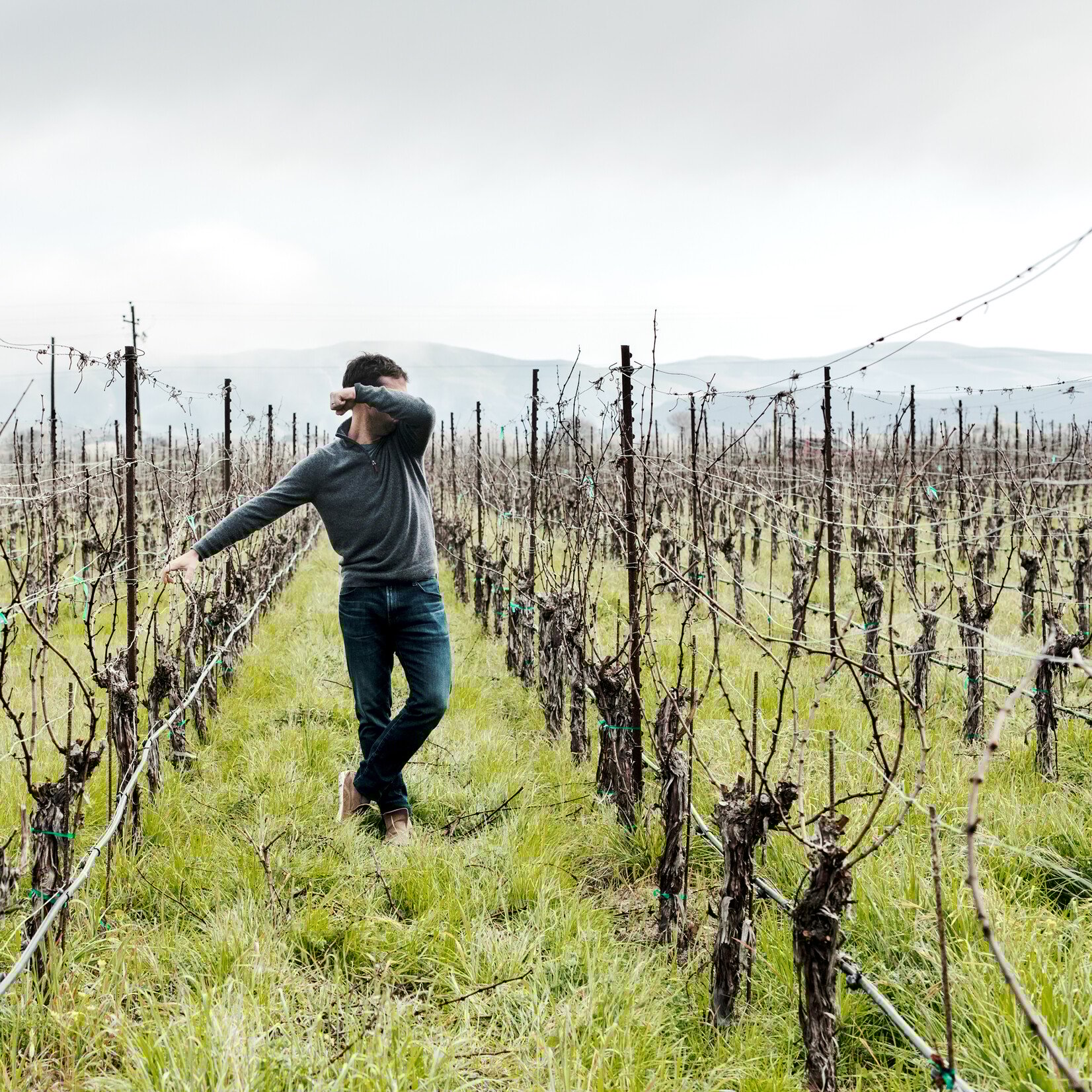 The Hilt The Hilt Estate Pinot Noir Sta Rita Hills 2022