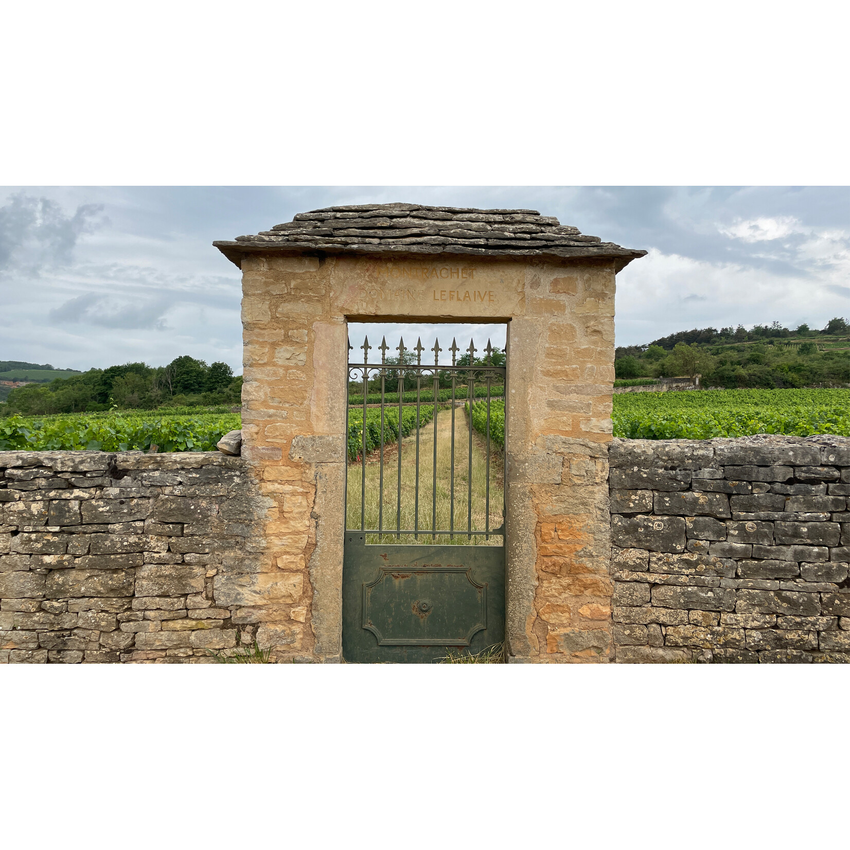 Domaine Leflaive Domaine Leflaive Puligny-Montrachet Les Pucelles 2023