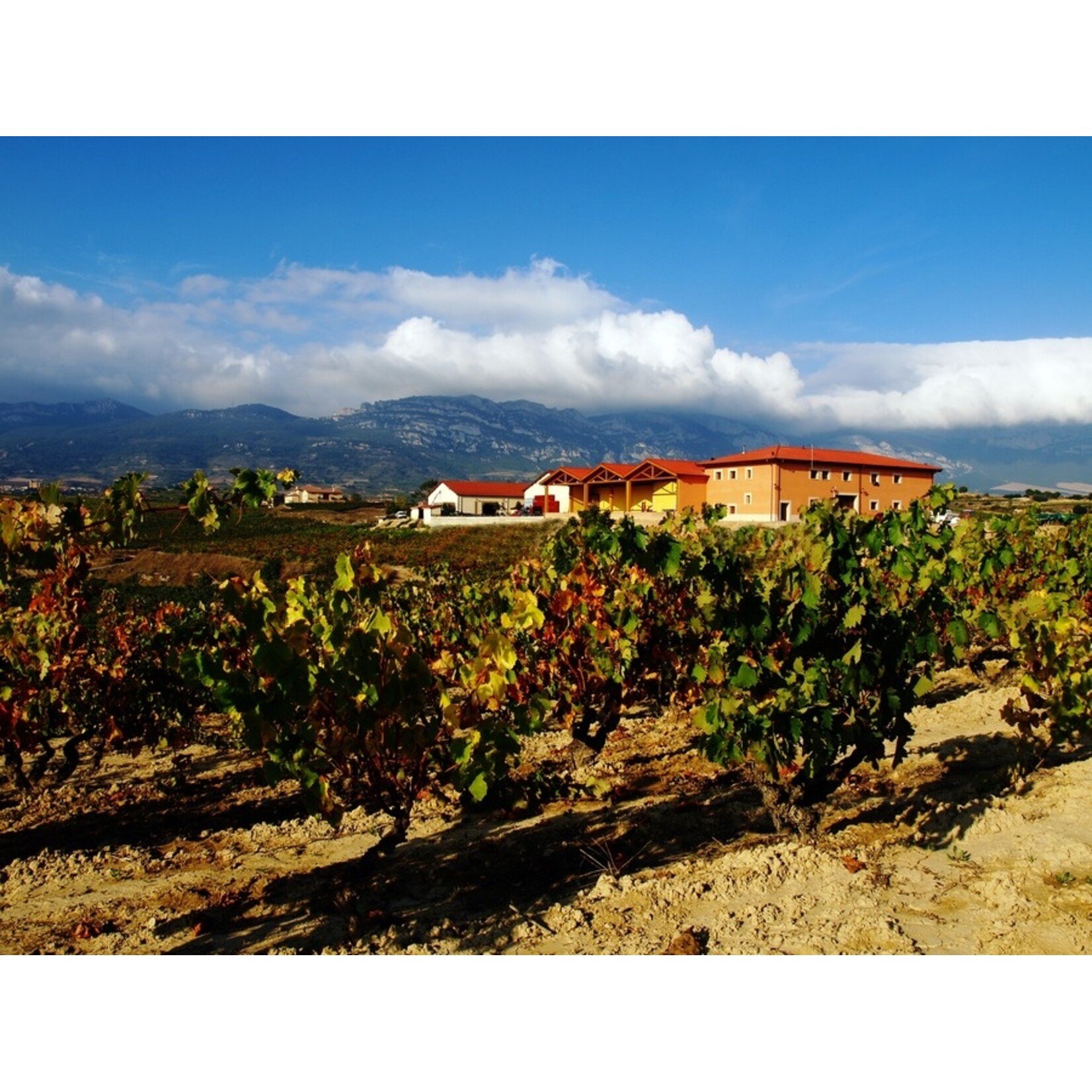 Bodega Luis Cañas Luis Canas Rioja Gran Reserva 2016