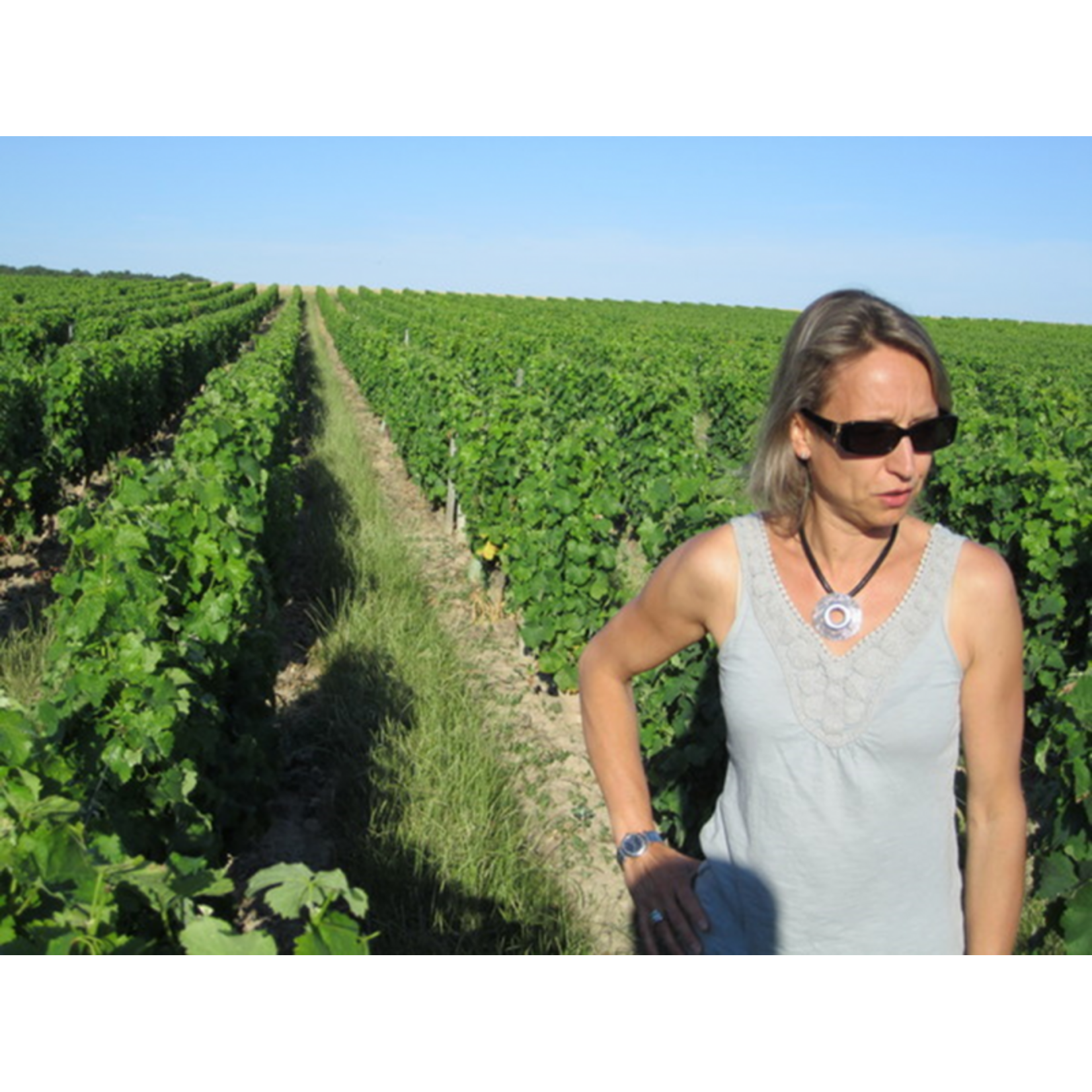 Domaine Mardon Quincy Tres Vieilles Vignes 2023