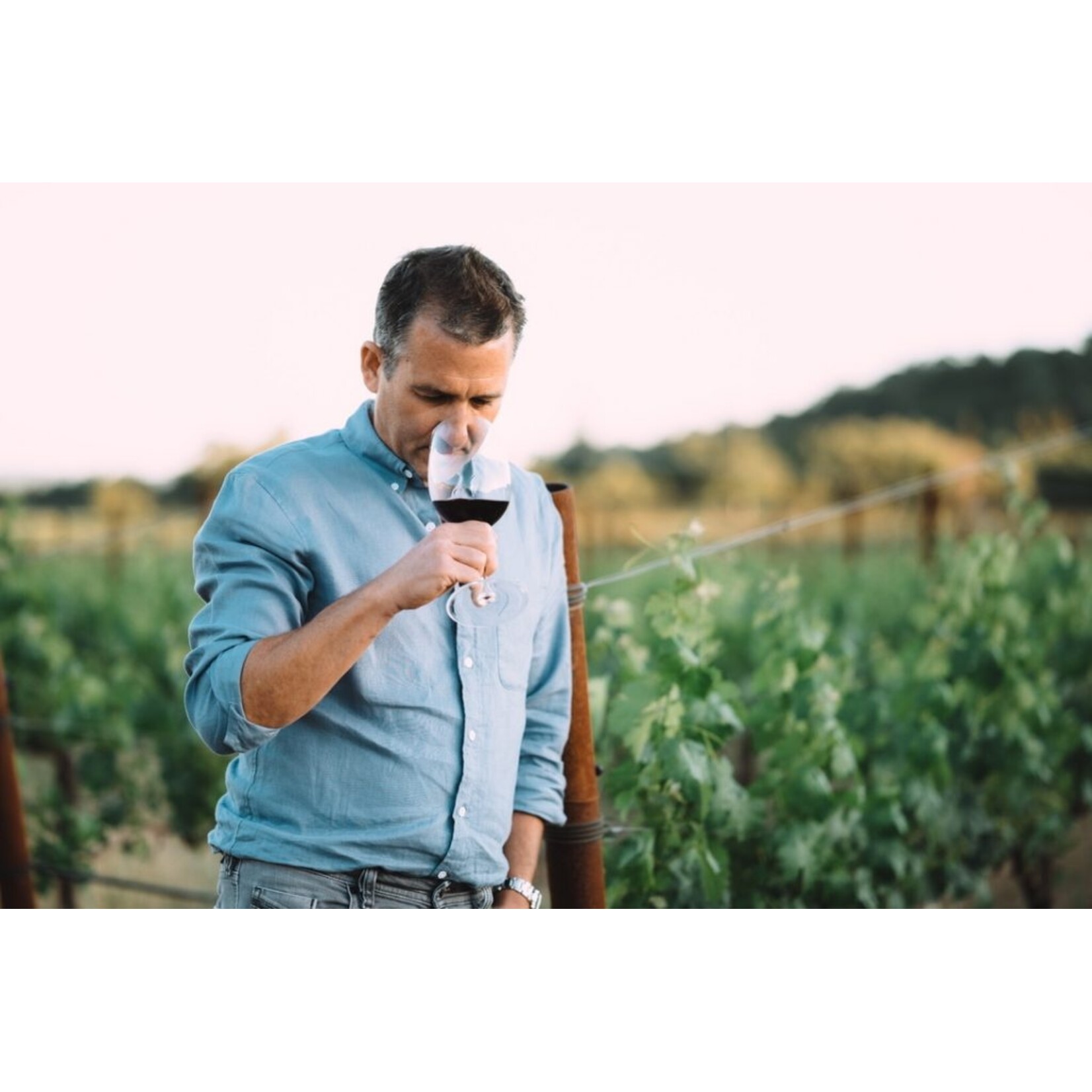 BonAnno BonAnno Napa Valley Cabernet Sauvignon 2023