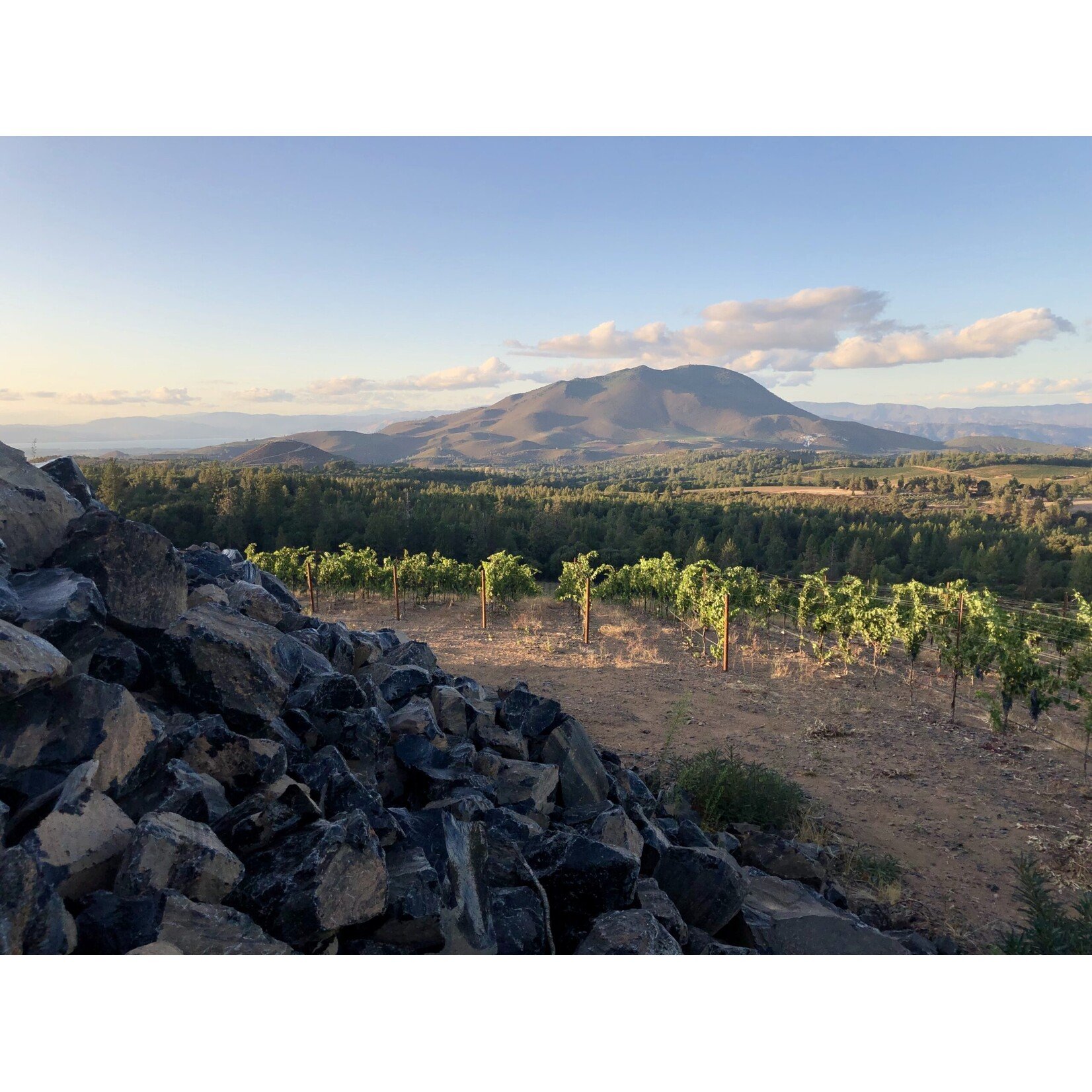 Obsidian Wine Company Obsidian Ridge Volcanic Estate Cabernet Sauvignon 2022