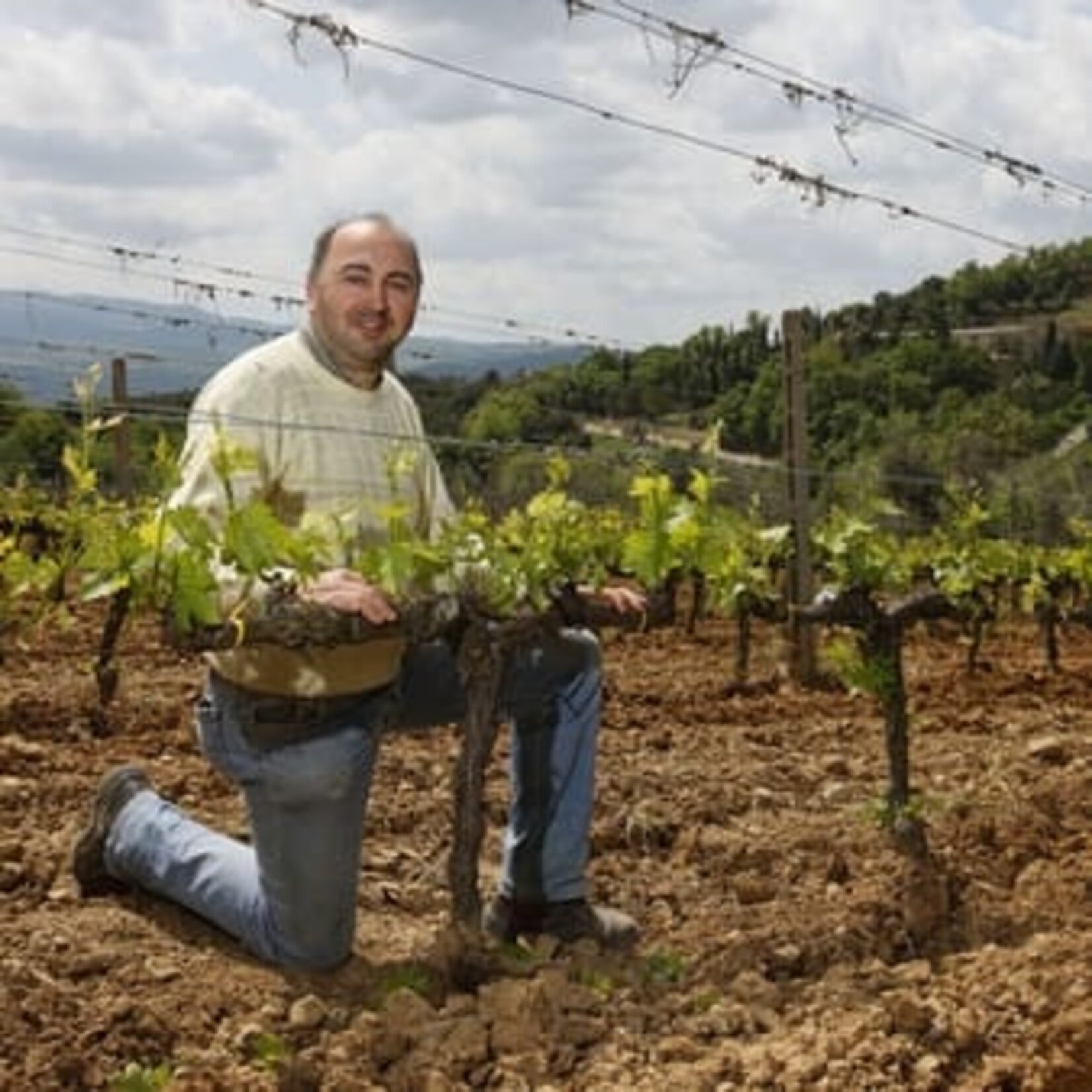 Anerea Cortonesi Azienda Agriocola Uccelliera Uccelliera Brunello di Montalcino 2021