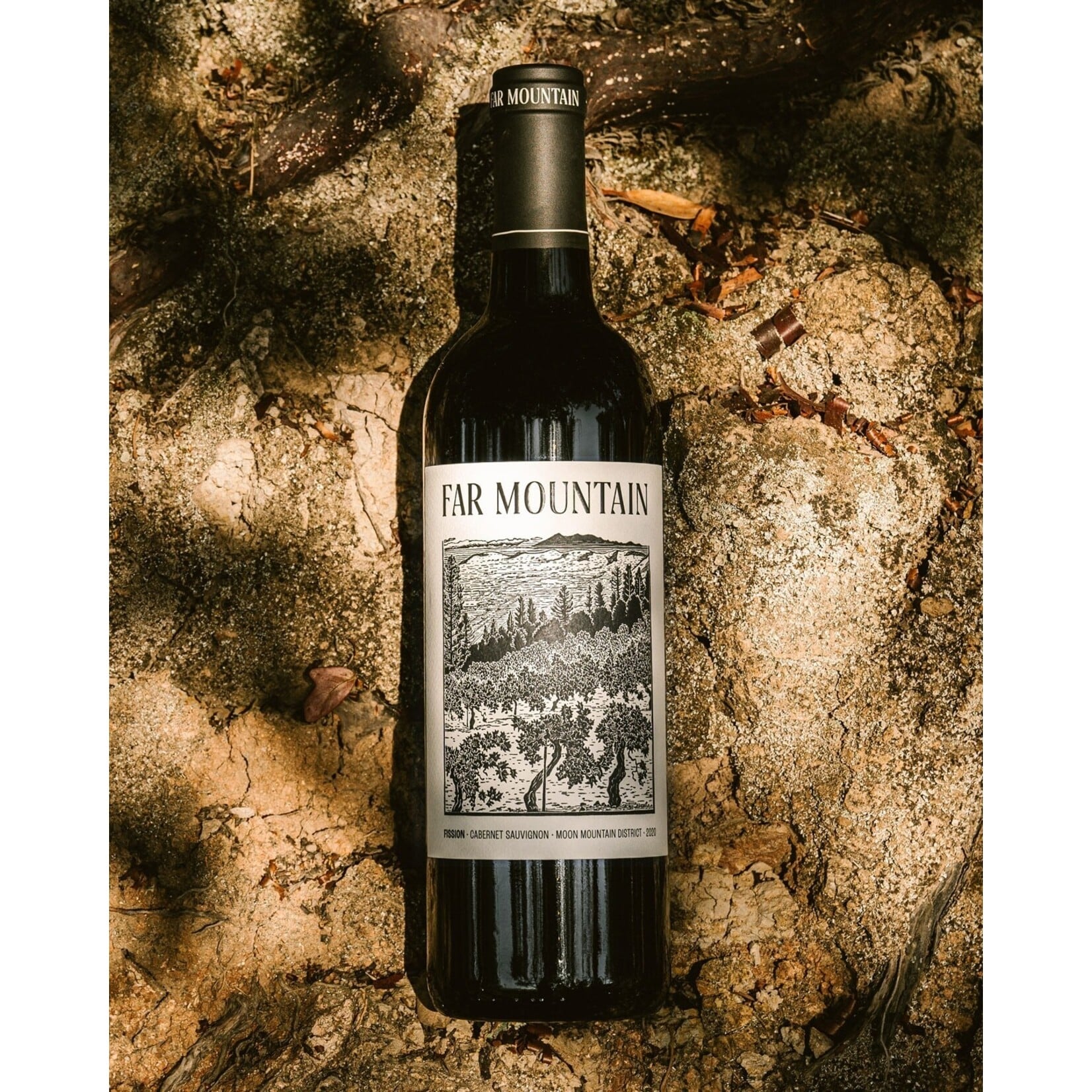 Far Mountain Fission Cabernet Sauvignon Moon Mountain District 2021