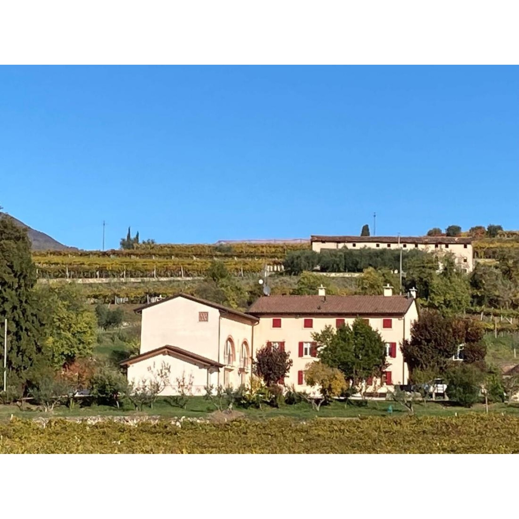 Rubinelli Vajol Rubinelli Vajol Amarone della Valpolicella 2017