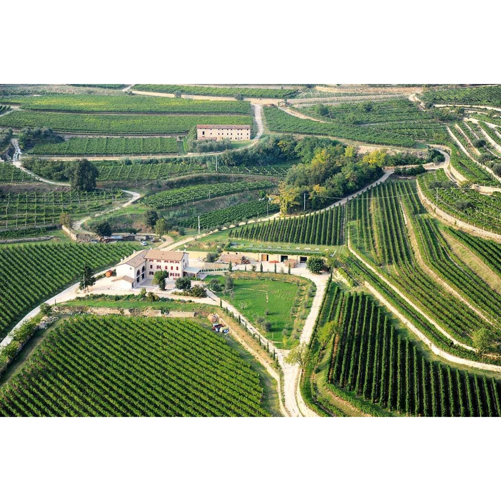 Rubinelli Vajol Rubinelli Vajol Amarone della Valpolicella 2017