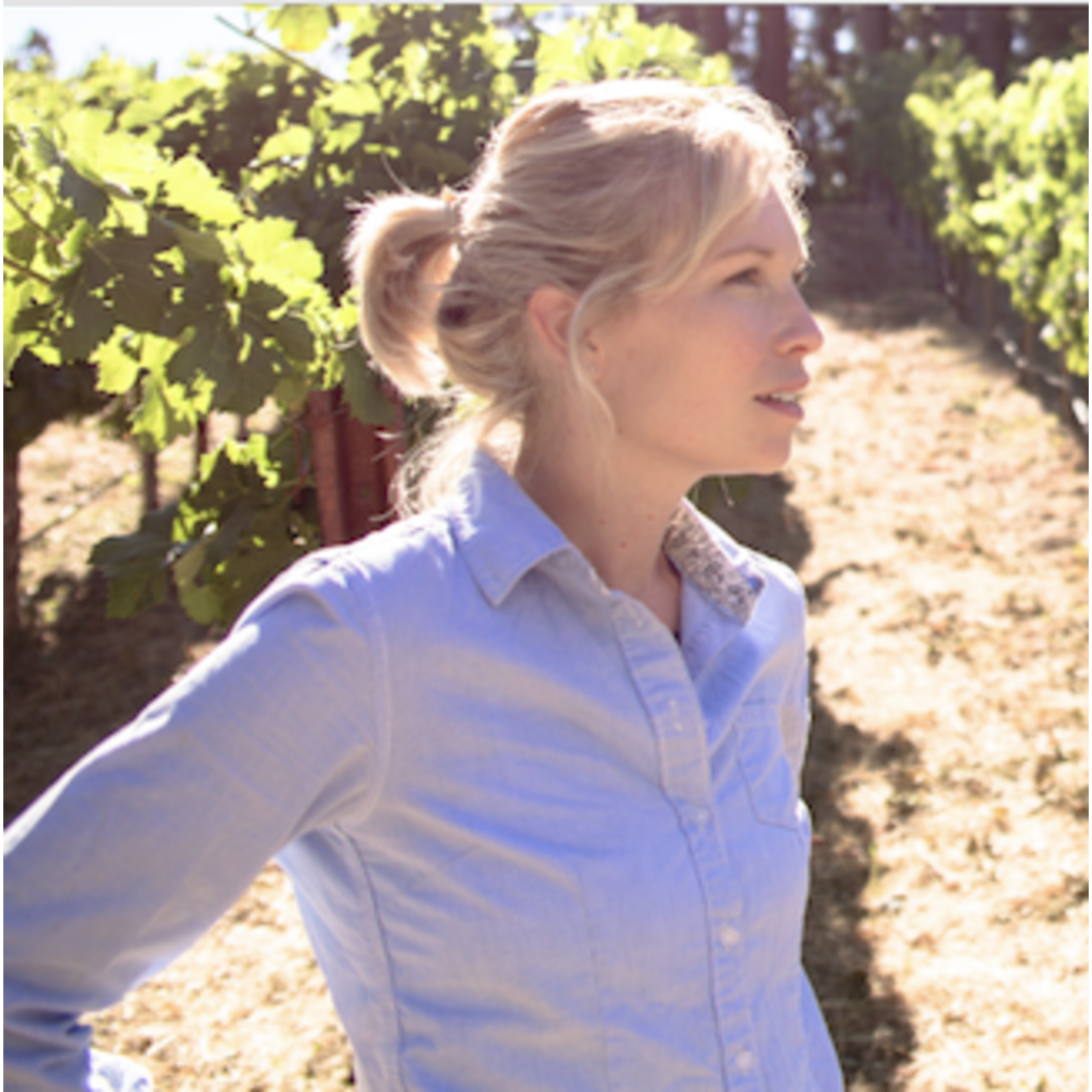 Snowden Brothers Vineyard Cabernet Sauvignon  2022