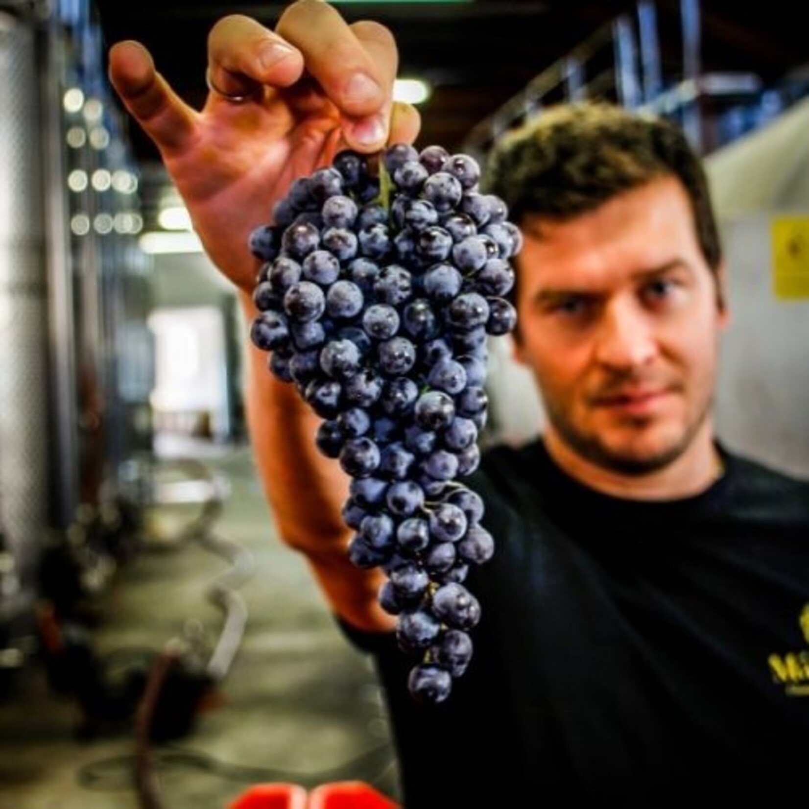 Cantina Mascarello Bartolo Mascarello Barolo 2018