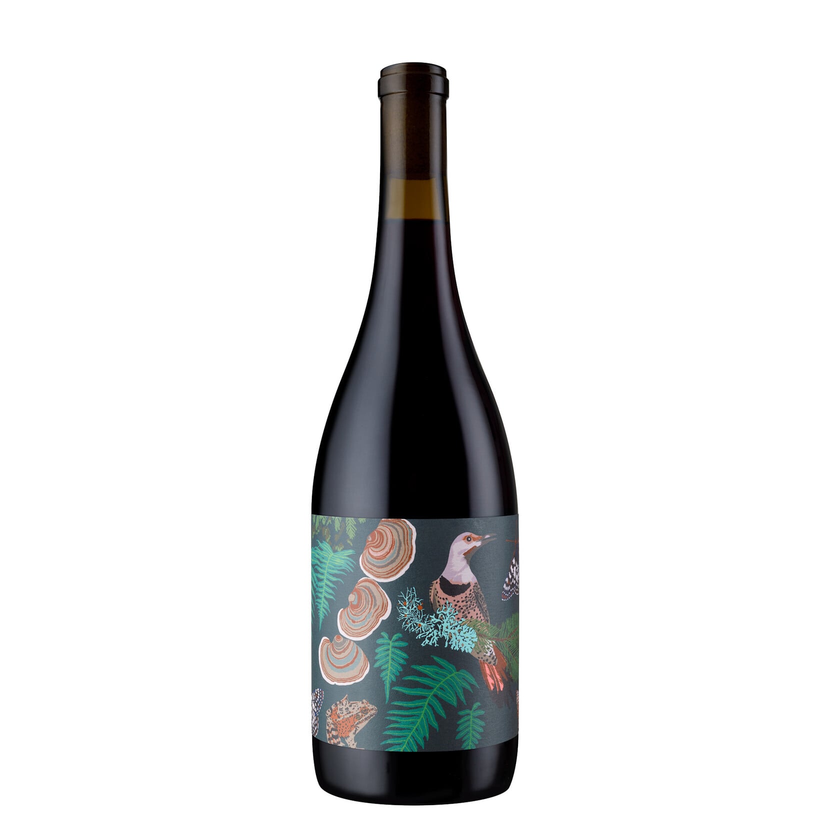 Anne Amie Anne Amie Willamette Valley Pinot Noir 2024