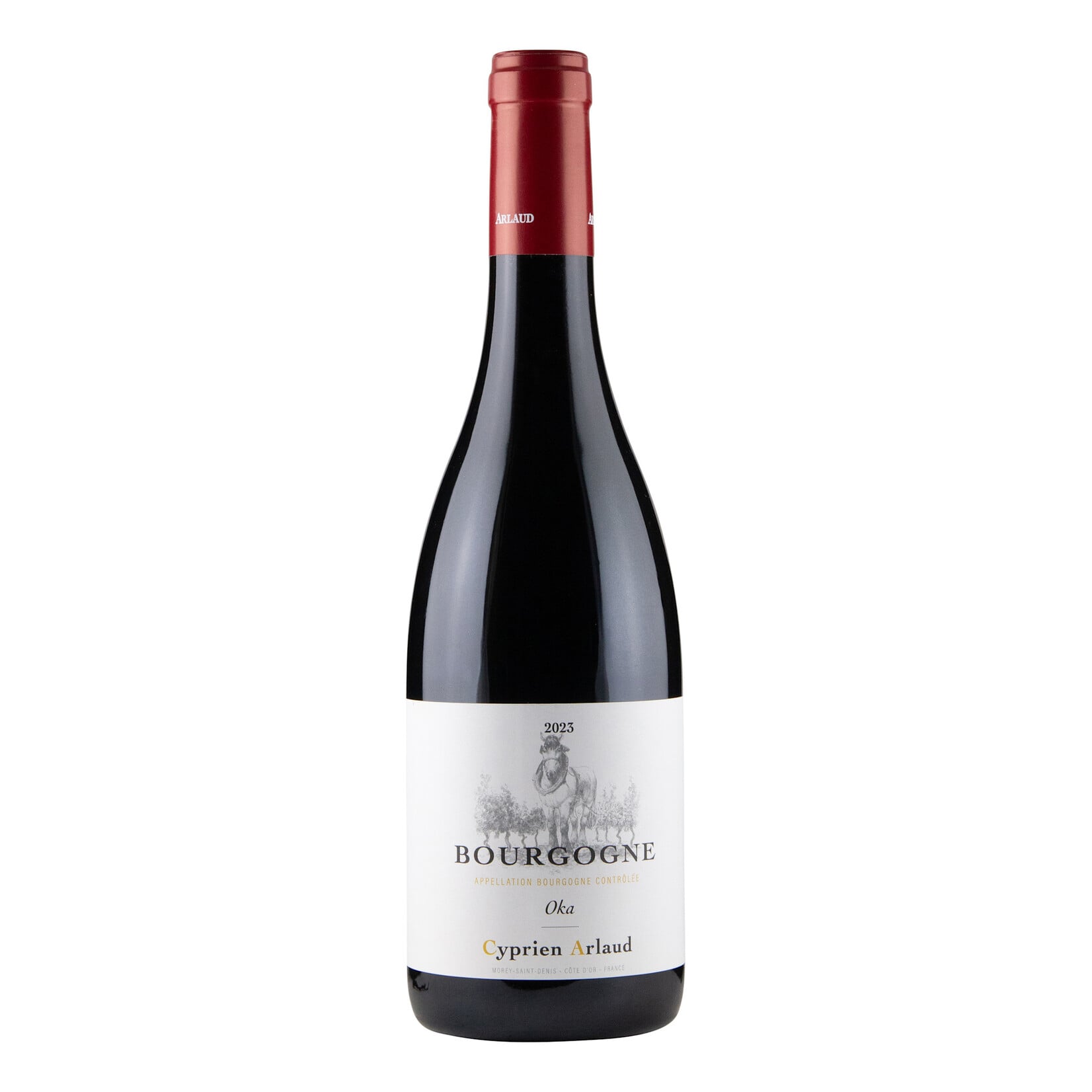 Cyprien Arlaud Cyprien Arlaud Bourgogne Oka 2023