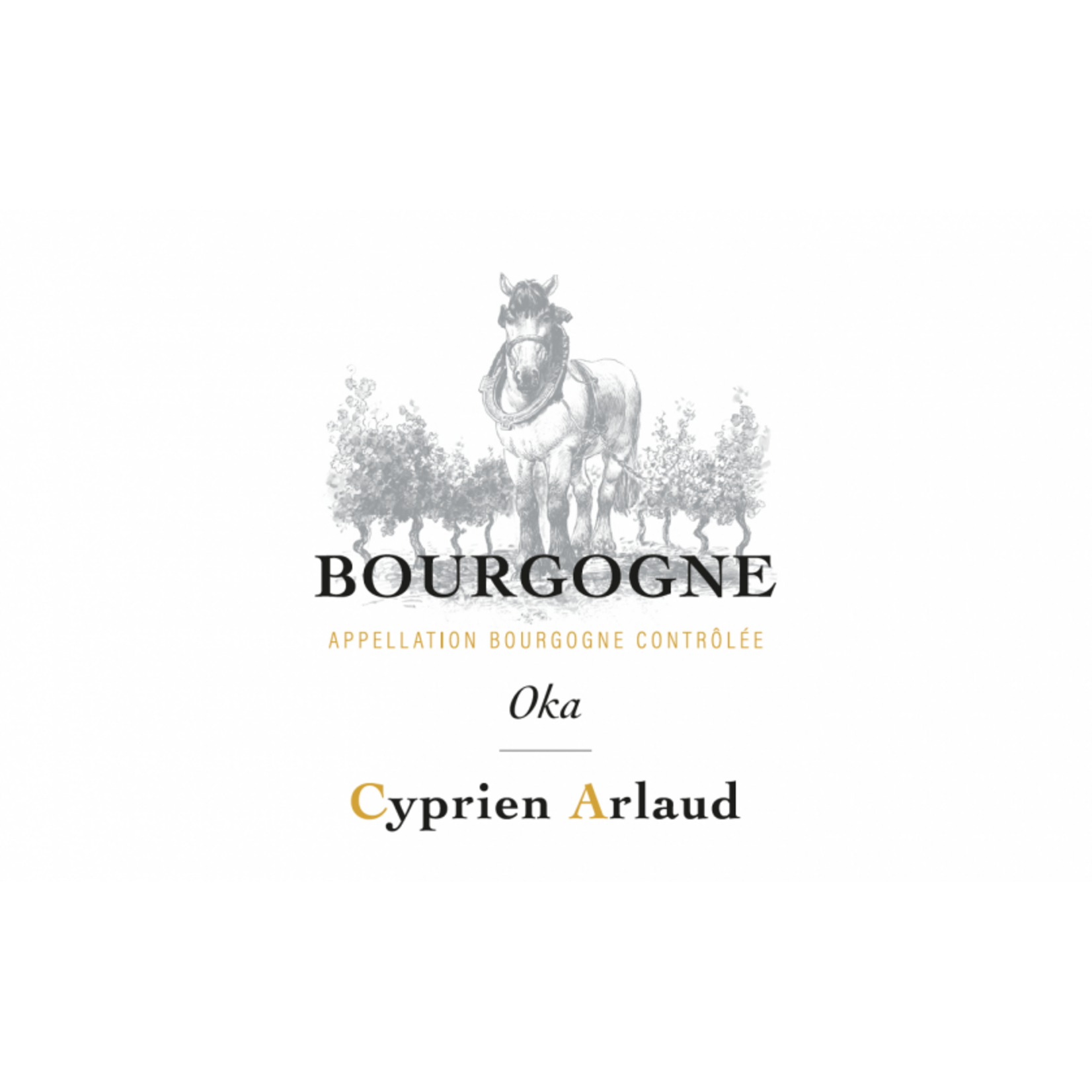 Cyprien Arlaud Cyprien Arlaud Bourgogne Oka 2023