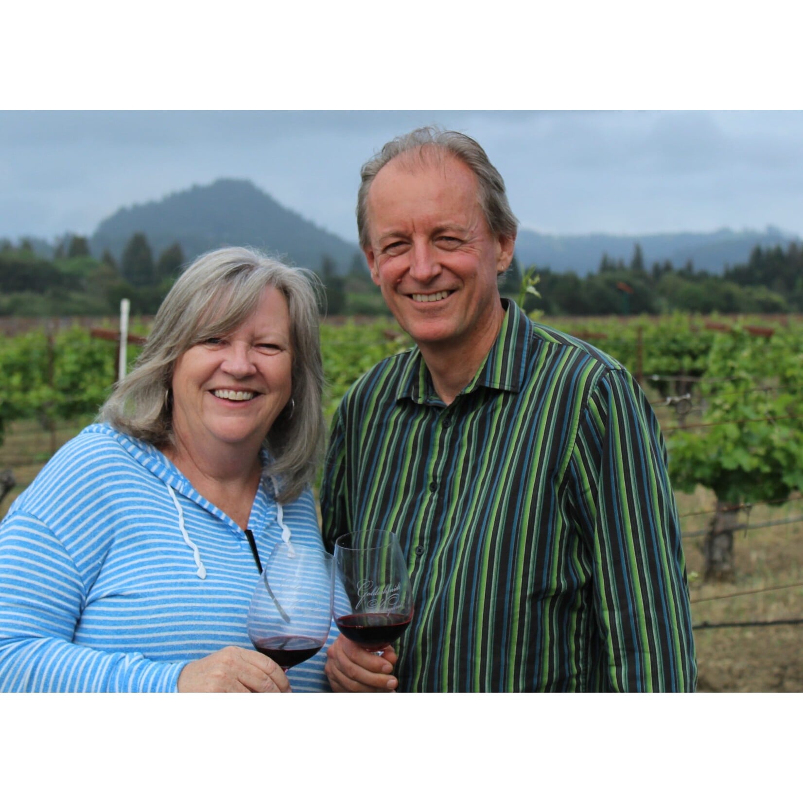 Trig Point Cabernet Sauvignon Diamond Dust Vineyard Alexander Valley 2023