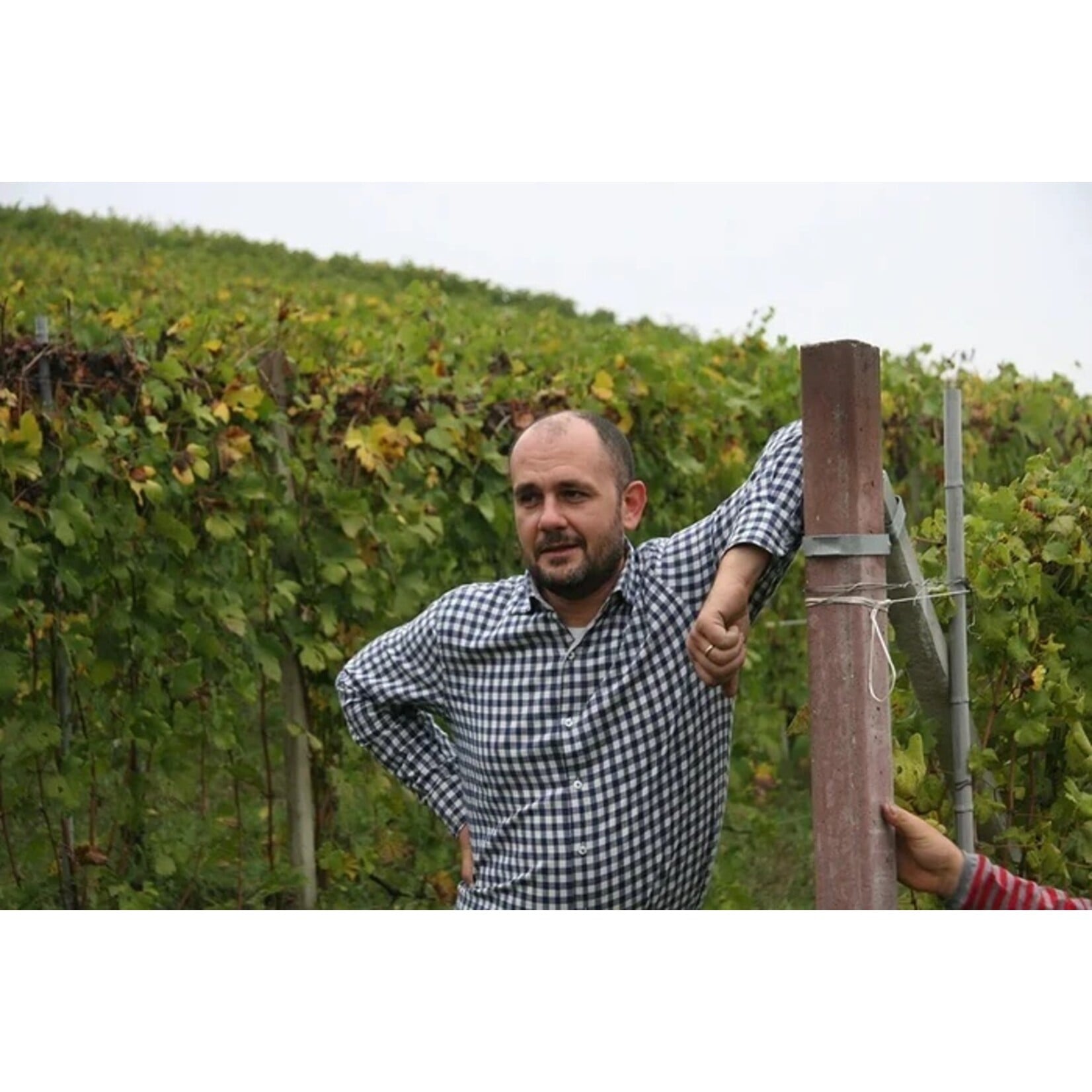 Scarzello Scarzello Barolo 2022