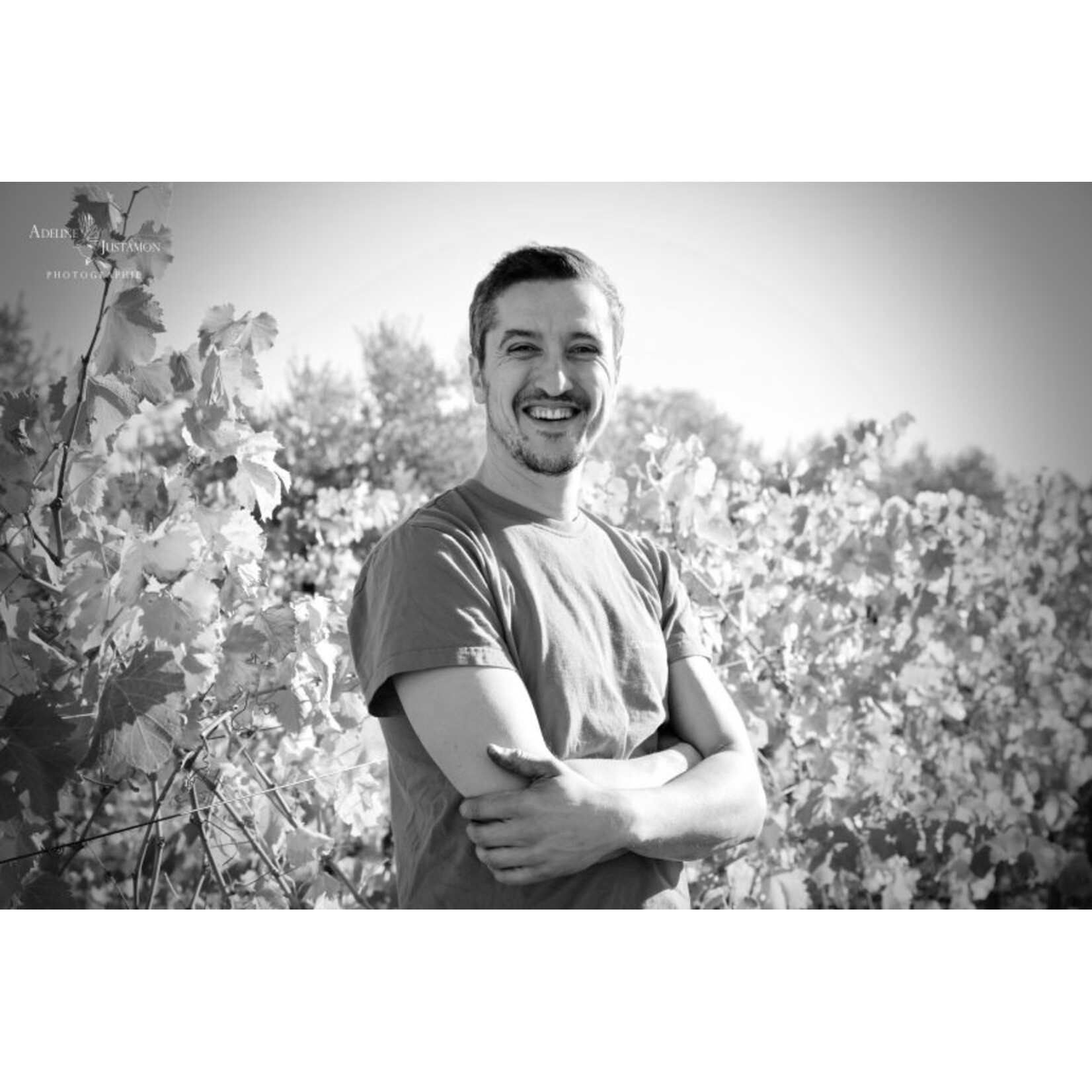 Remejeanne Domaine La Réméjeanne Cotes du Rhone Monte Lune 2024