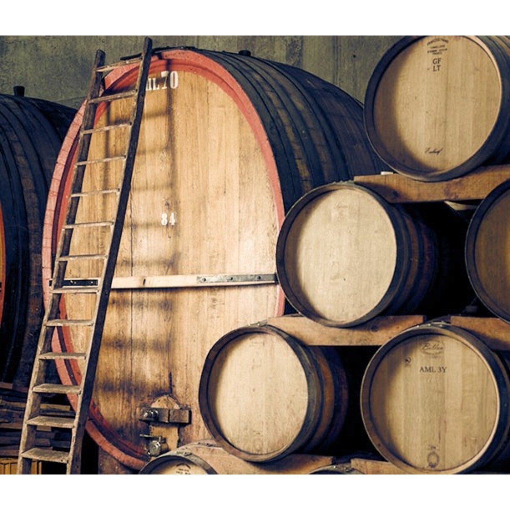 Rottensteiner Winemaker Visit - Friday, October 2, 2026