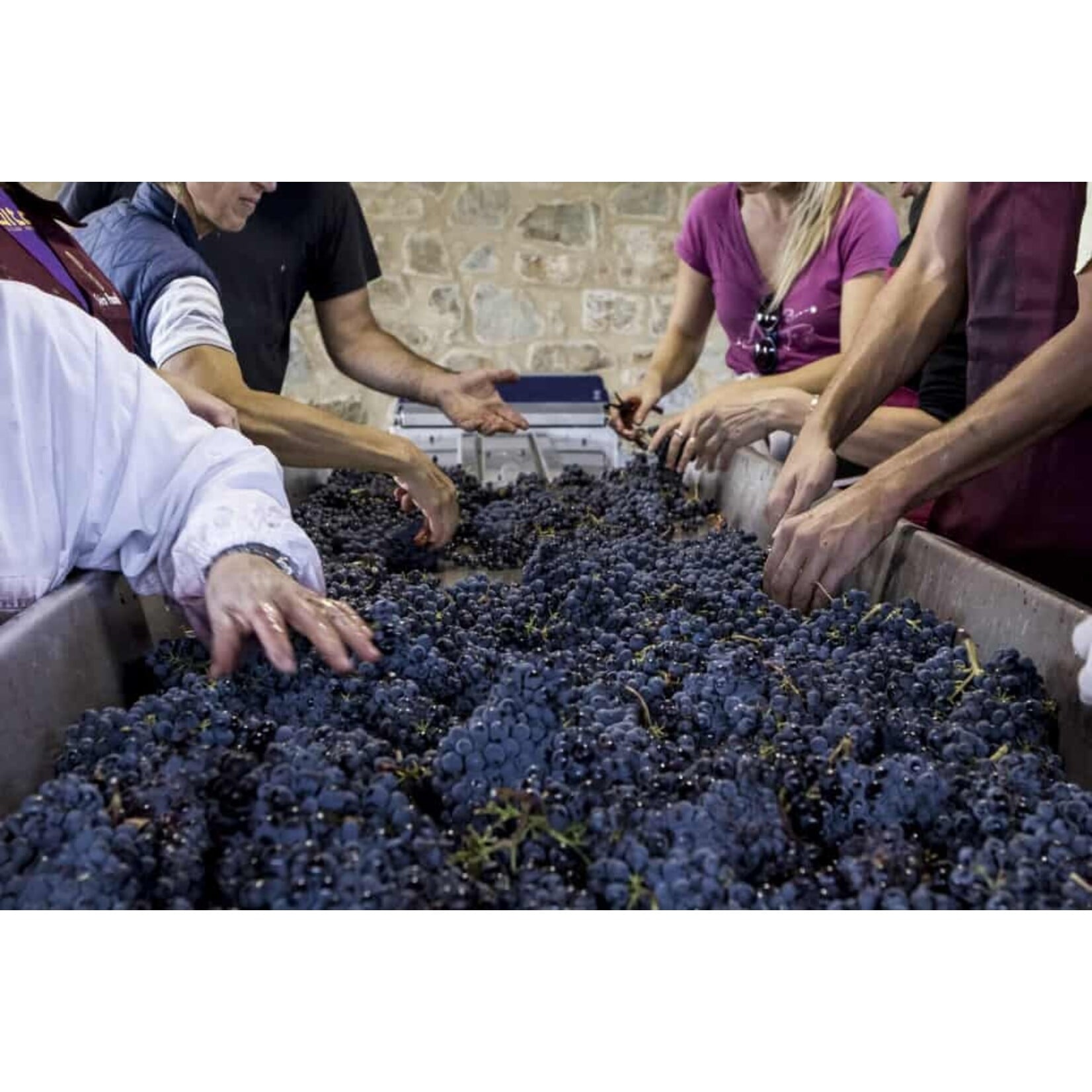 Siro Pacenti Siro Pacenti Pelagrilli Brunello di Montalcino 2021