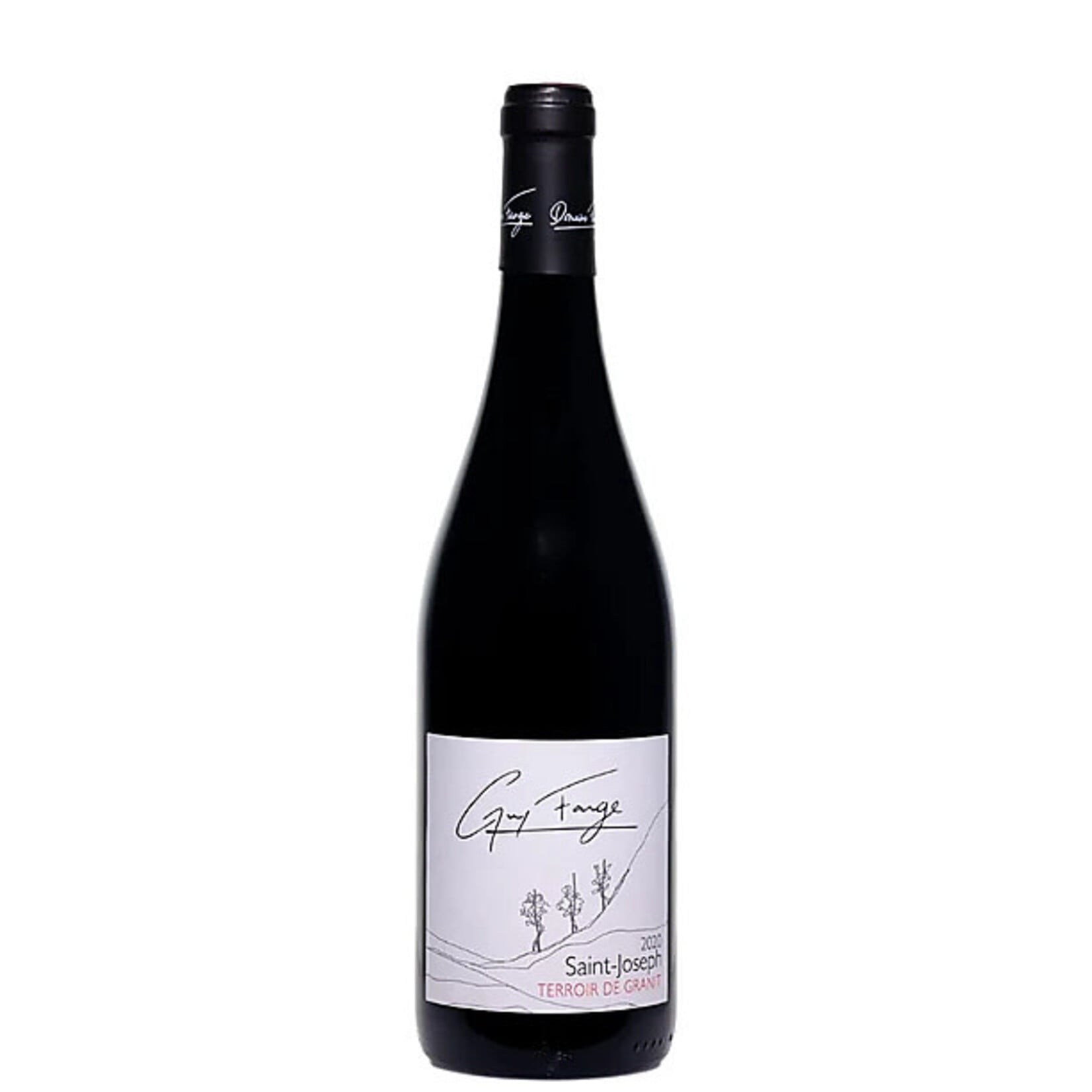 Guy Farge "Terroir de Granit" St. Joseph 2020