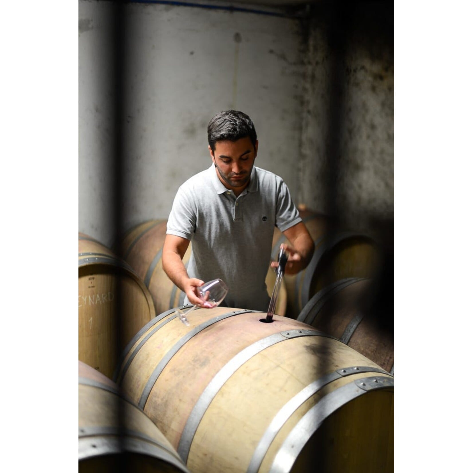 Guy Farge "Terroir de Granit" St. Joseph 2020