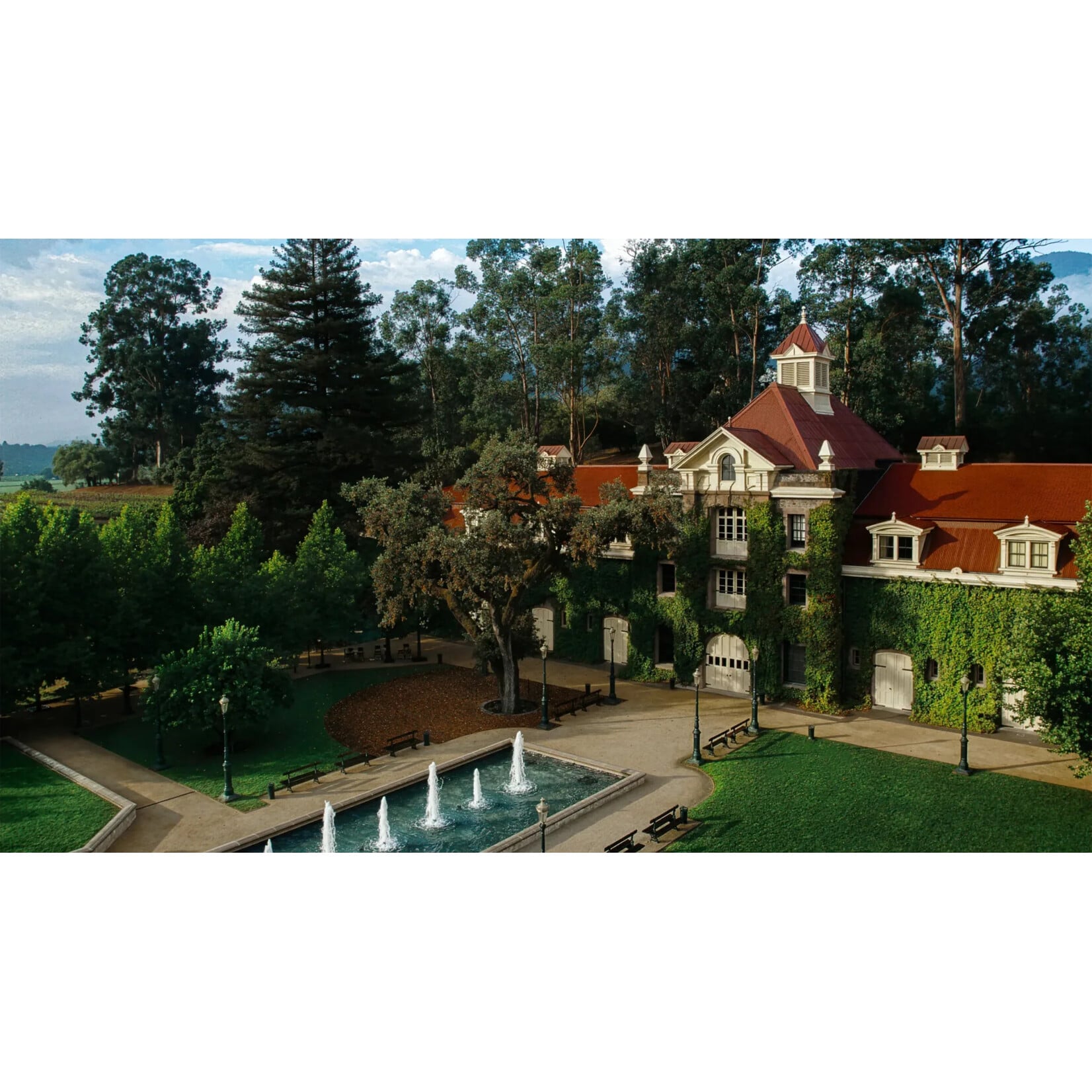 Inglenook Cabernet Sauvignon 2019