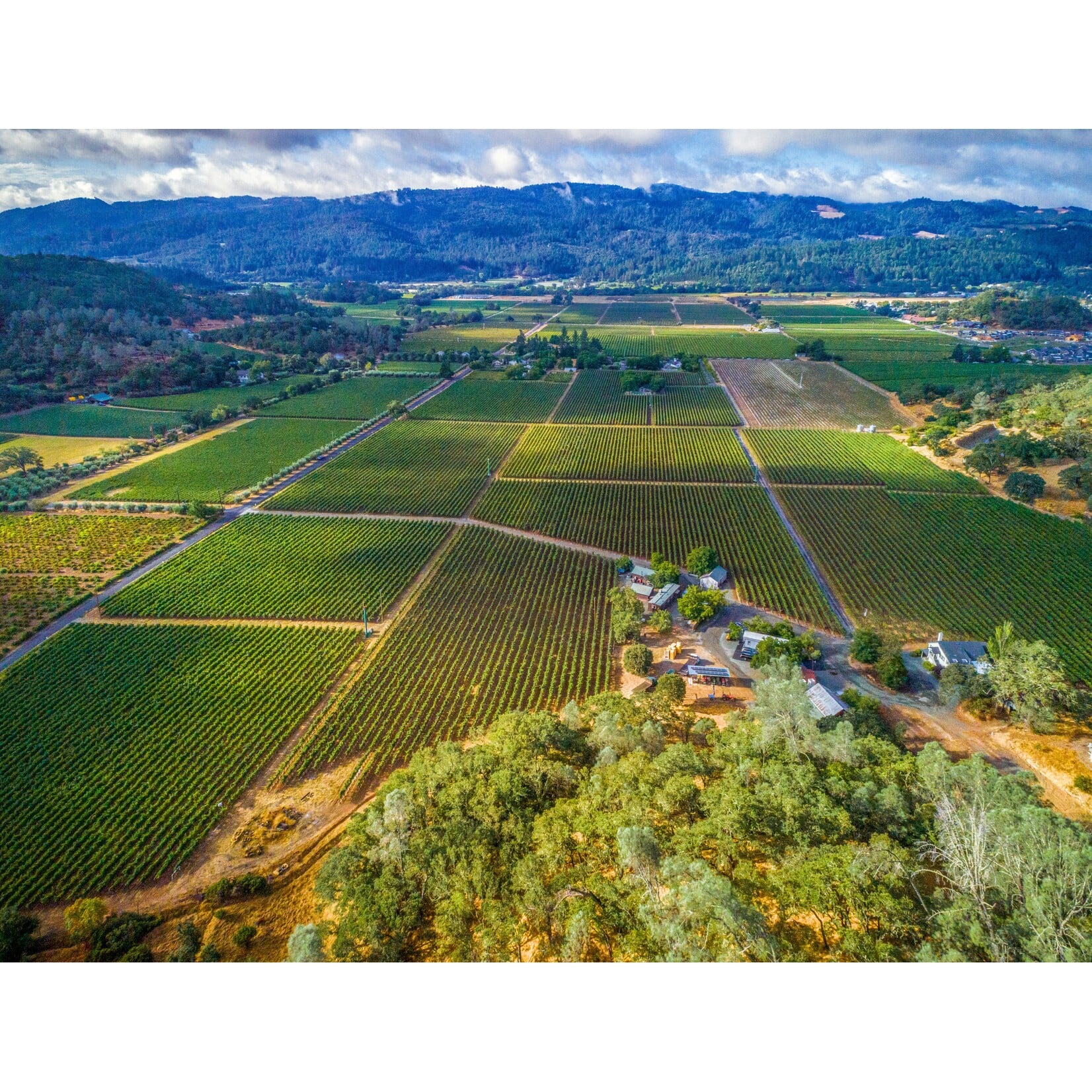 Kenefick Ranch Chris's Cuvee Cabernet Sauvignon 2021