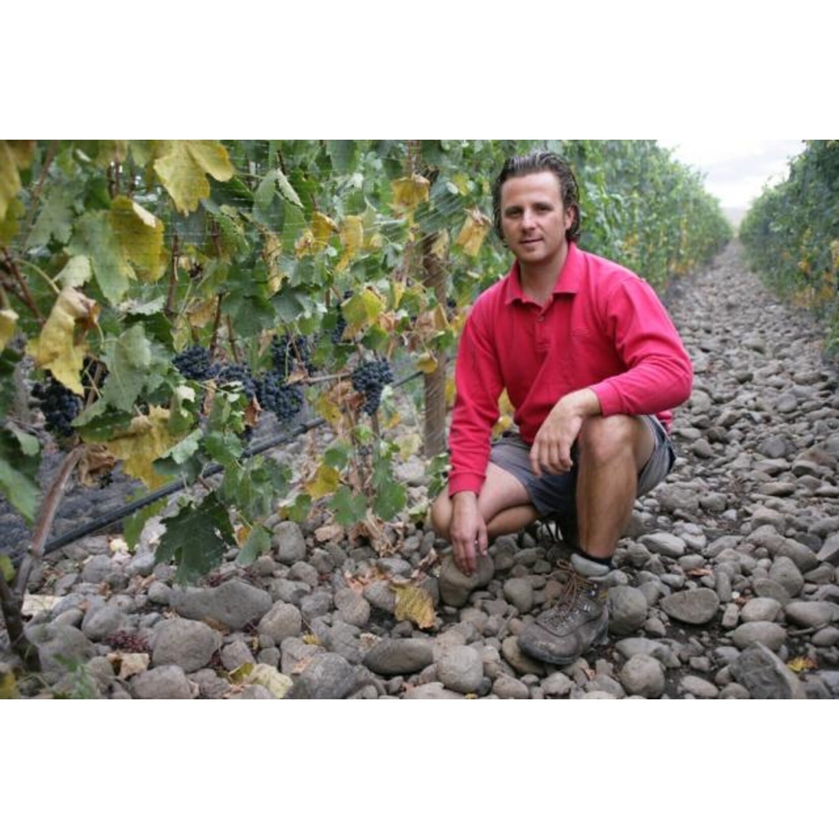 Cayuse Vineyards Cayuse 'Impulsivo'  Tempranillo 2024