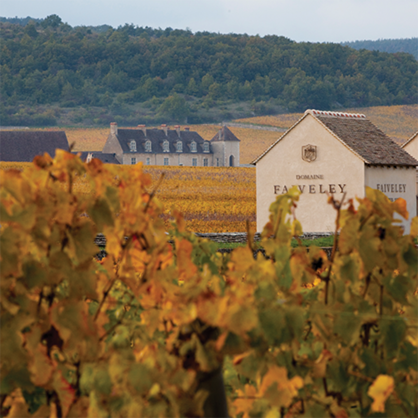 Domaine Faiveley Domaine Faiveley Givry Champ Lalot 2024