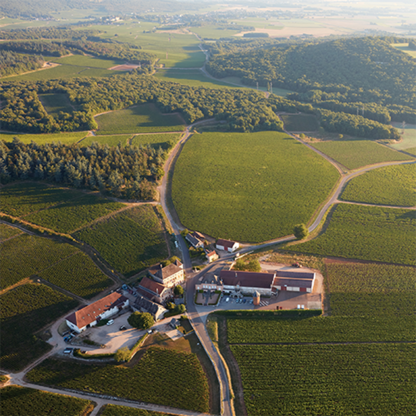 Domaine Faiveley Domaine Faiveley Mercurey 1er Cru Clos des Myglands Monopole 2024