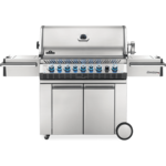 Napoleon Napoleon - Prestige Pro 665 RSIB LP - Stainless Steel