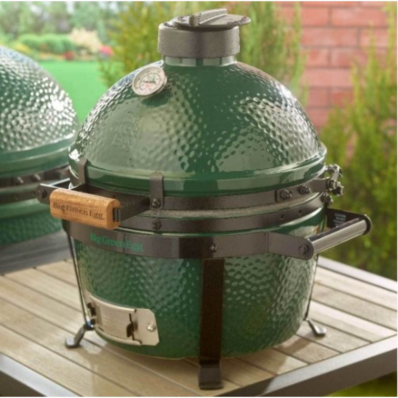 Big Green Egg BGE EGG w/Carrier - MiniMax MX