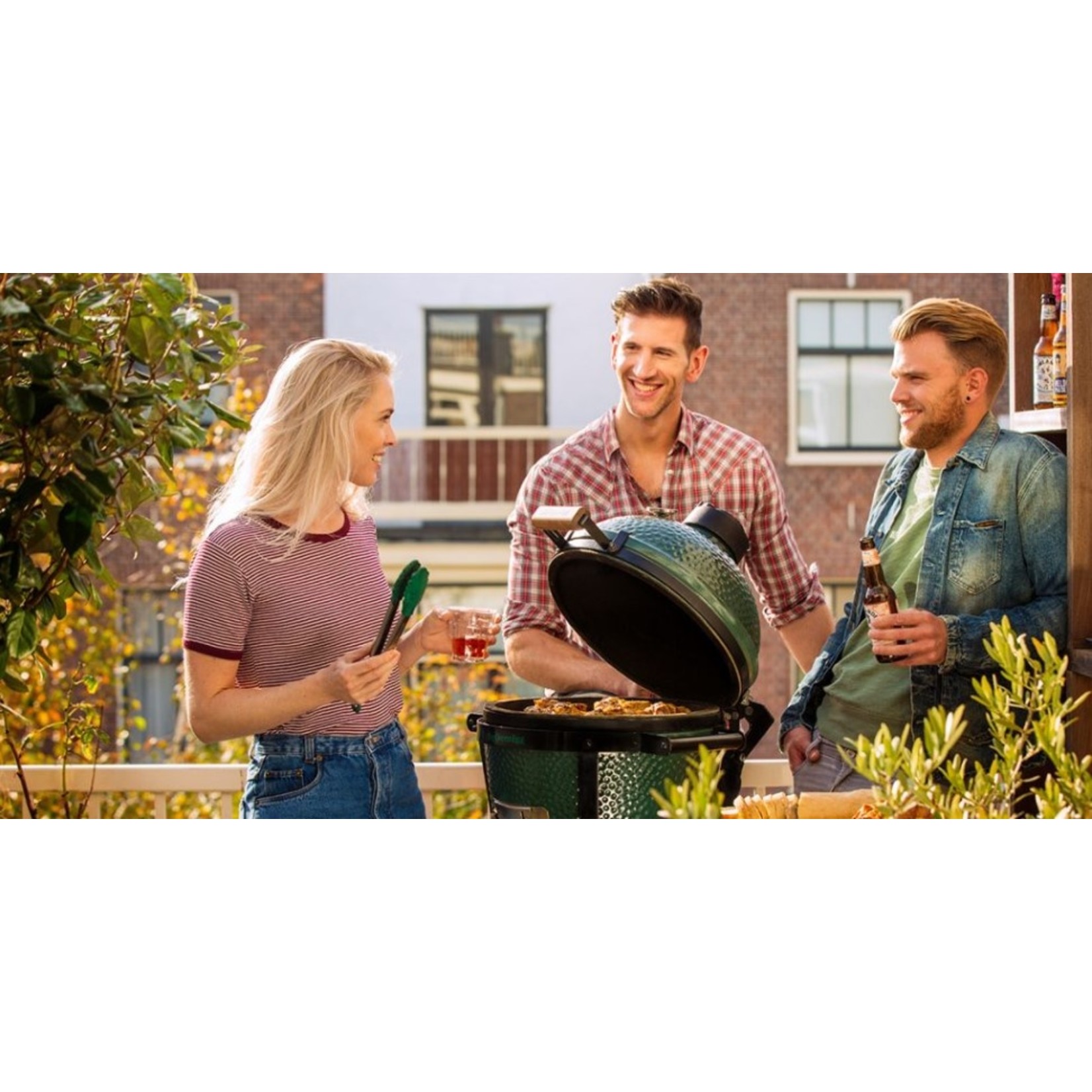 Big Green Egg BGE EGG w/Carrier - MiniMax MX