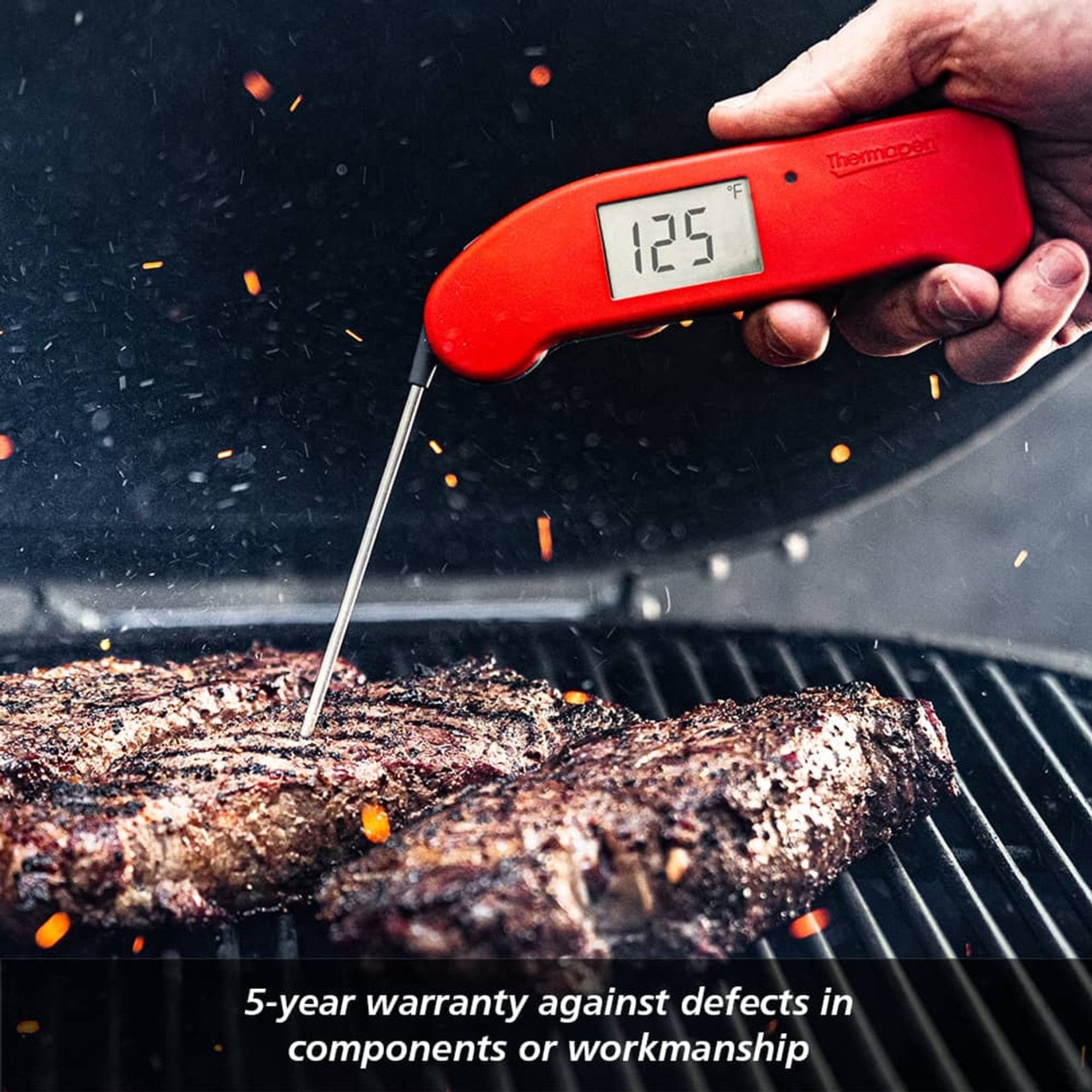 Thermoworks Thermoworks Thermapen ONE
