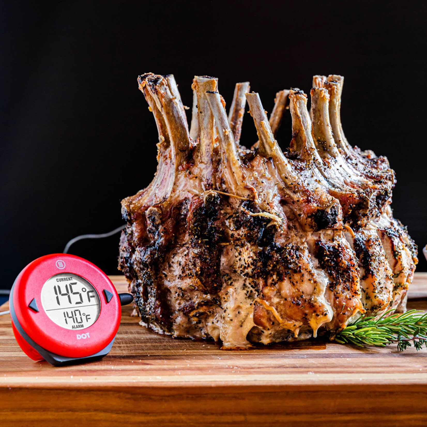 Thermoworks DOT Simple Alarm Thermometer