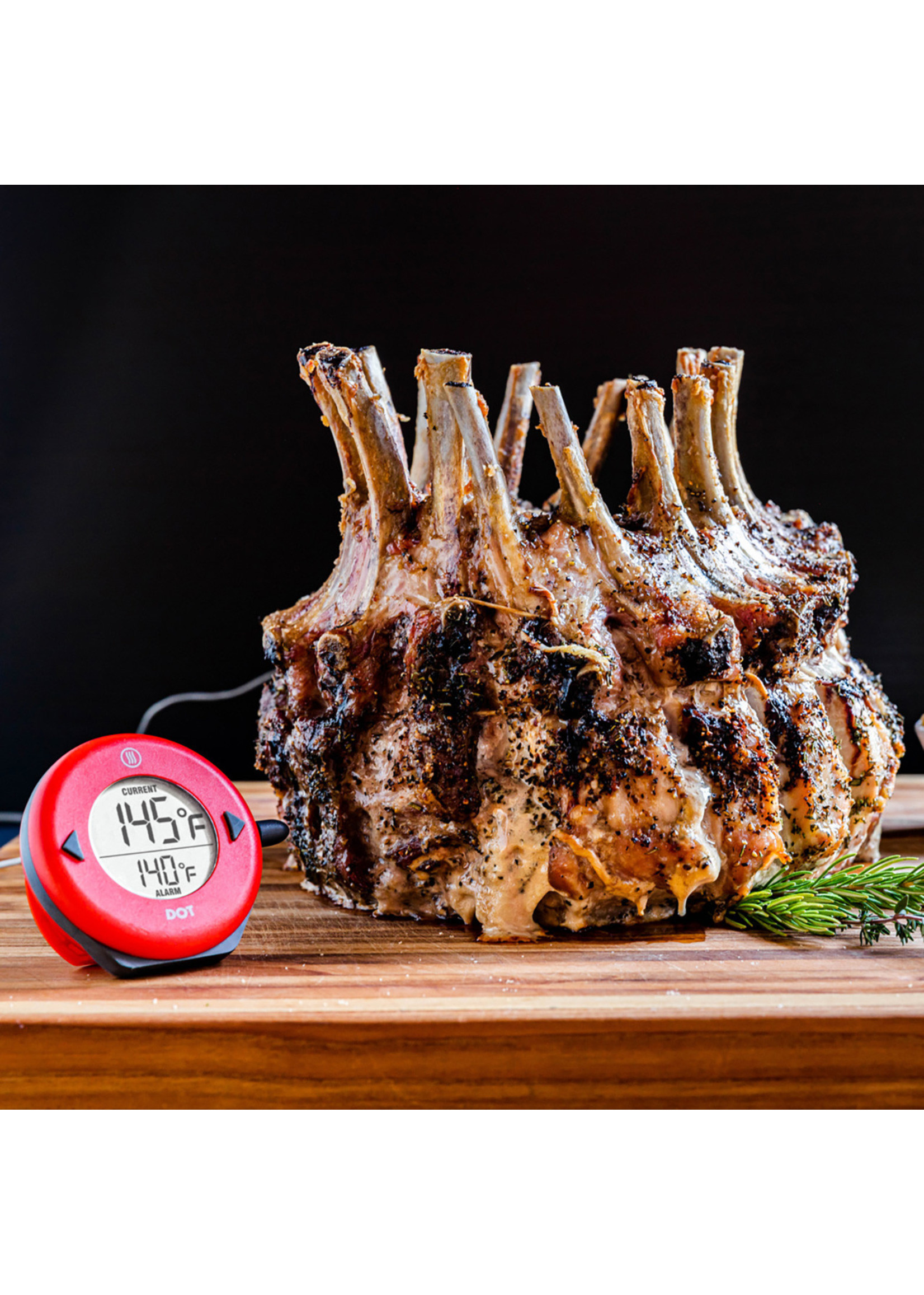 DOT Simple Alarm Thermometer The Grill Guys