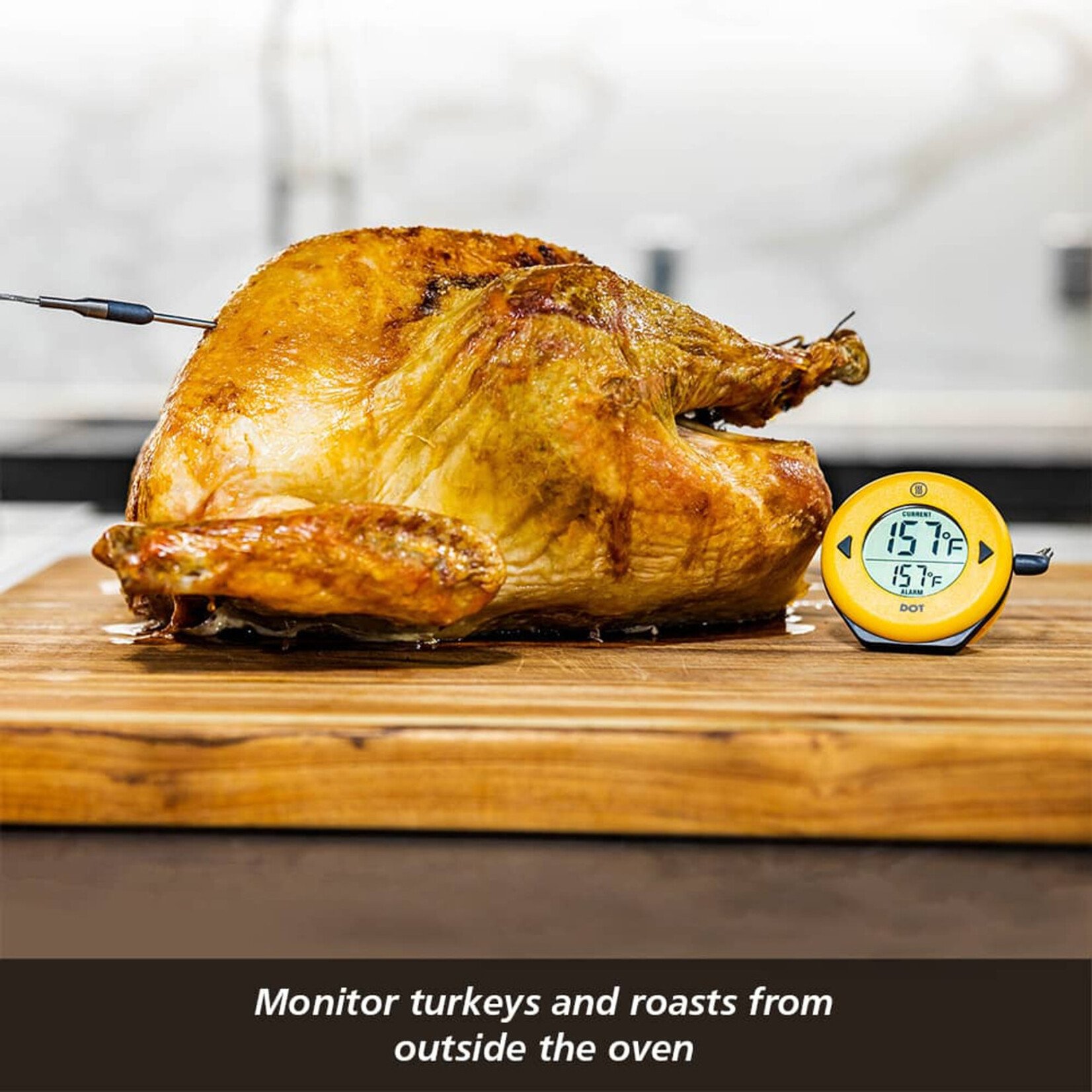 Thermoworks DOT Simple Alarm Thermometer