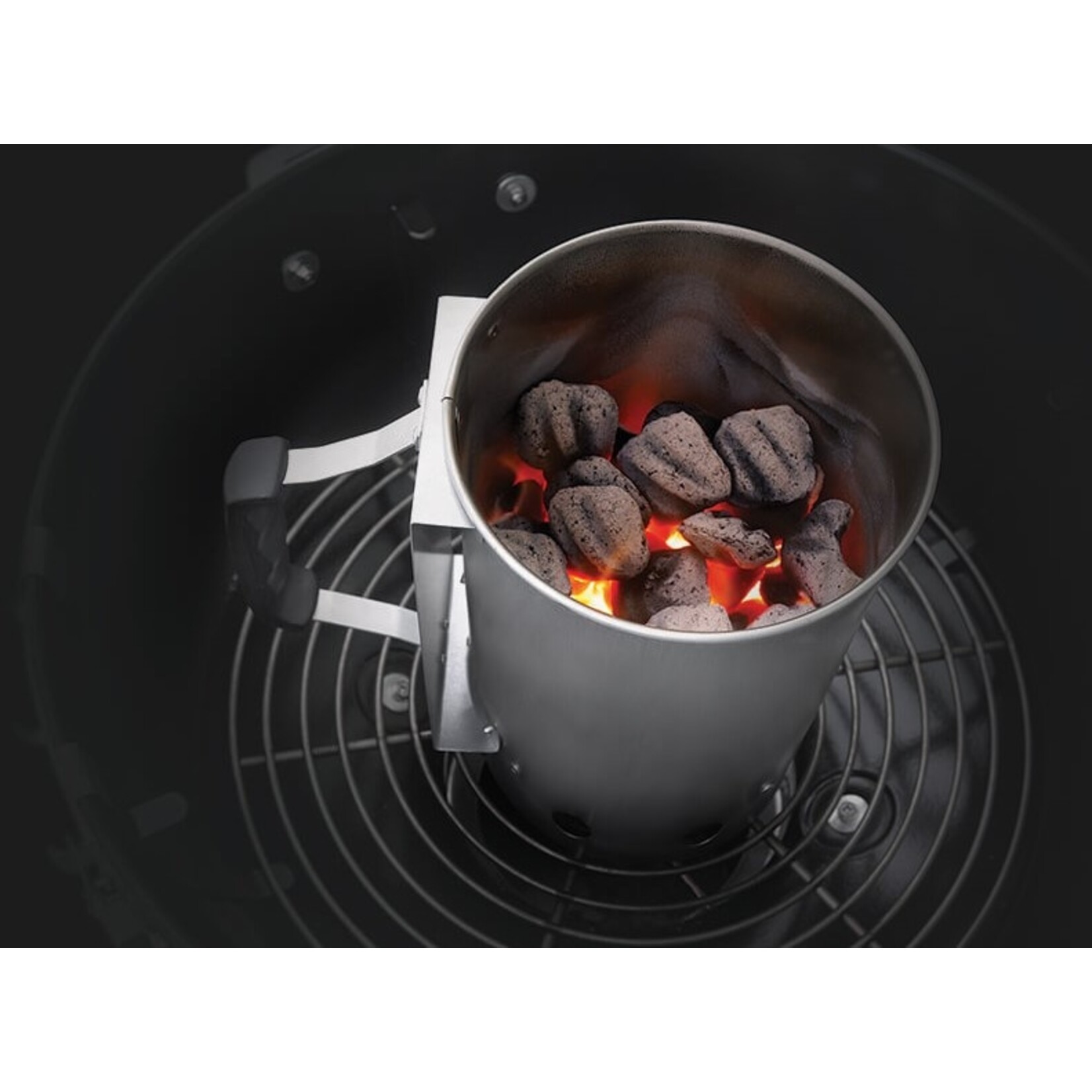 Napoleon Napoleon Chimney Starter