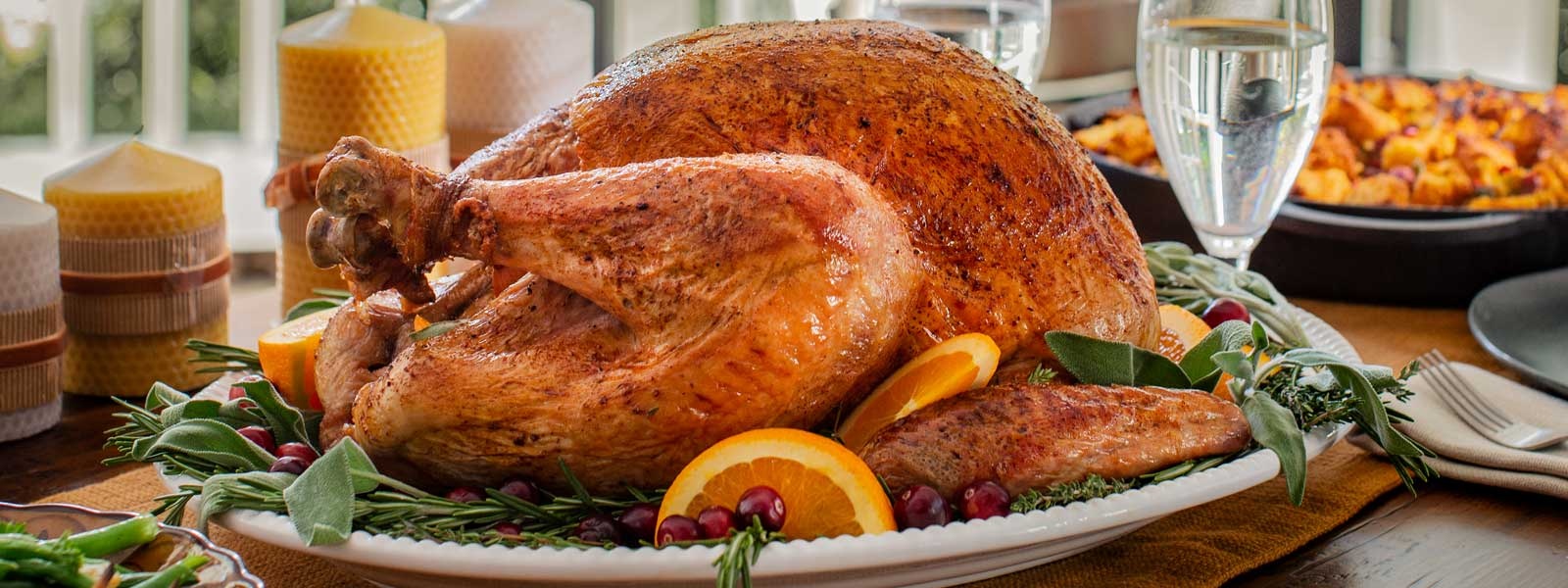 Turkey Tips For The Uninitiated