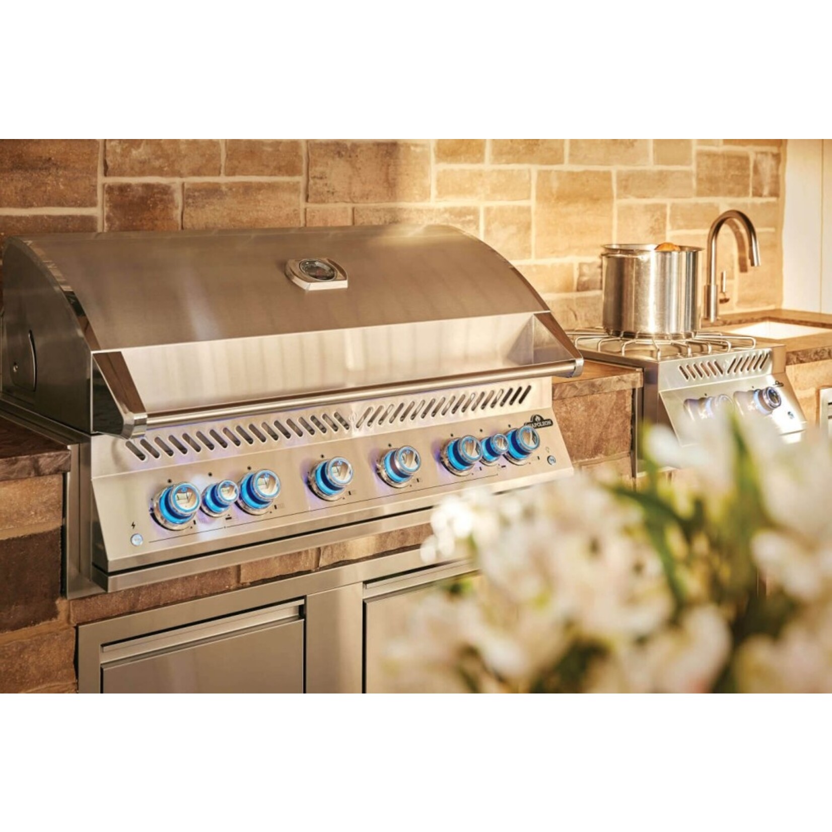 Napoleon Napoleon 700 Series Built-In Grill Head