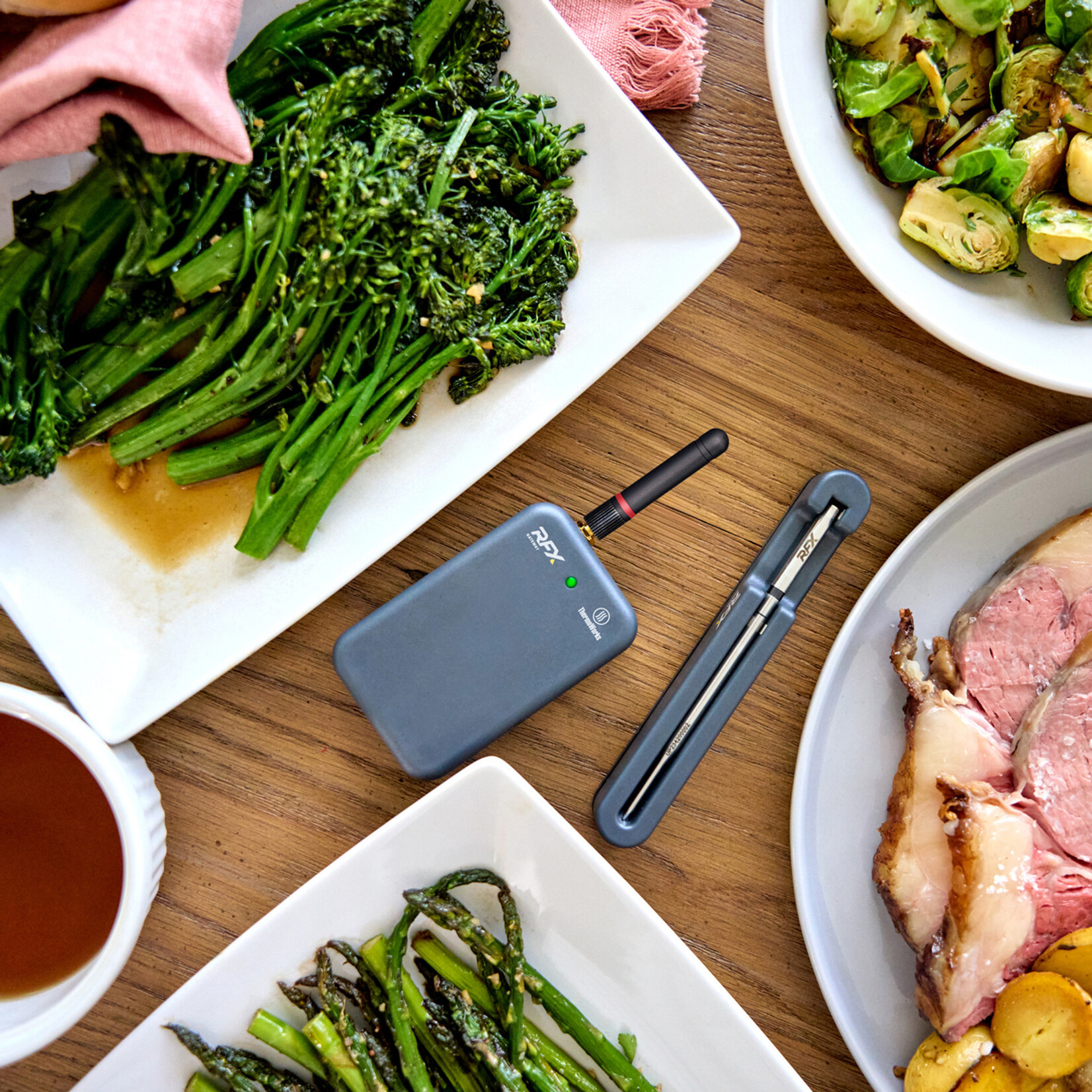 Thermoworks Thermoworks RFX Kit - 1 Probe