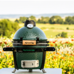 Big Green Egg BGE EGG w/Carrier Package - Mini MN